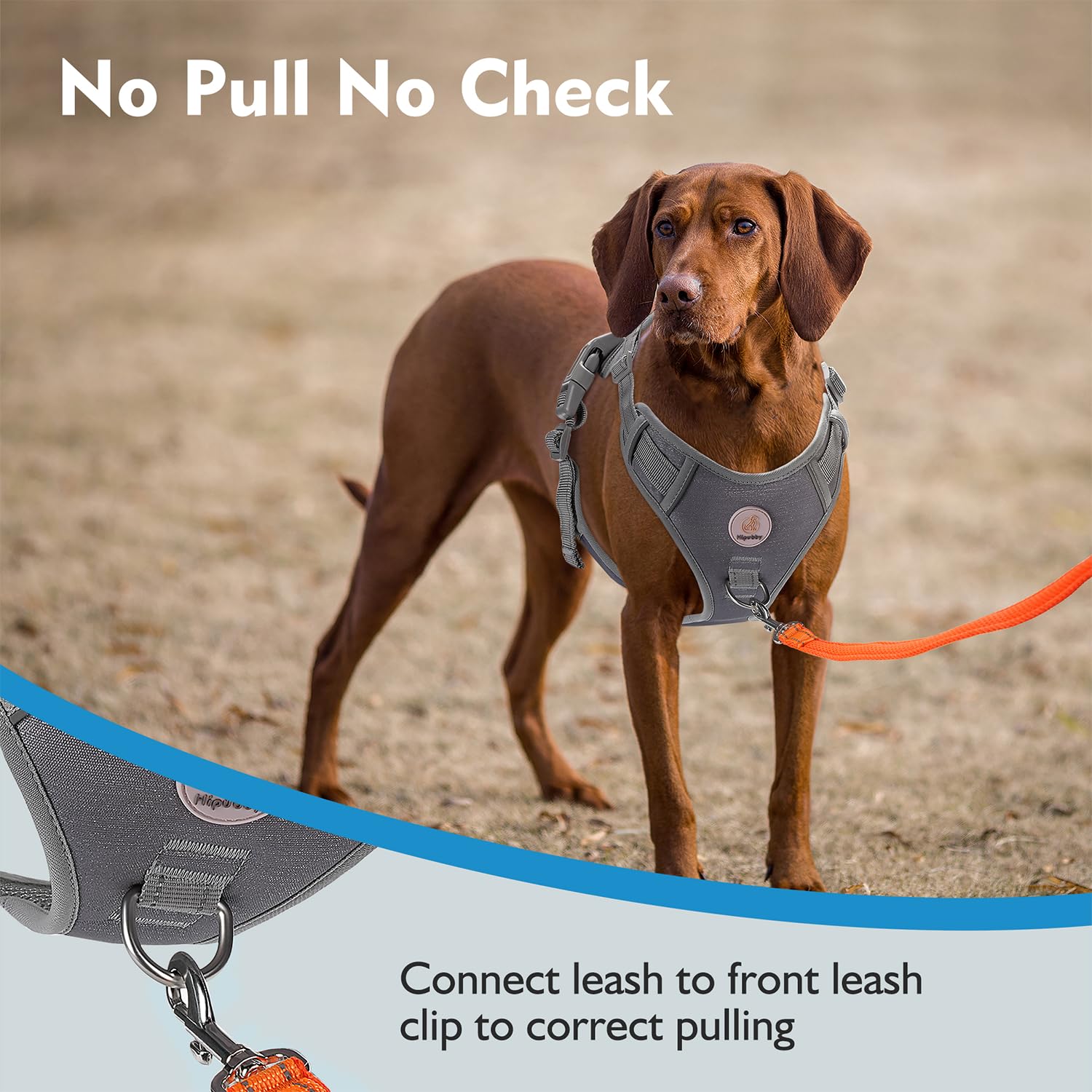 Hipubby Dog Harness Small Sized Dog, No Pull Pet Harness with 2 Metal Rings and Control Handle, Adjustable Soft Dog Vest with Re