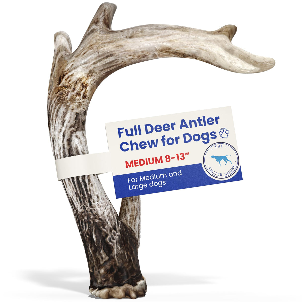 The Proper Hound Medium Whole Deer Antler For Dogs [Long Lasting] - Deer Bones For Dog Humanely Sourced - Deer Antlers For Large