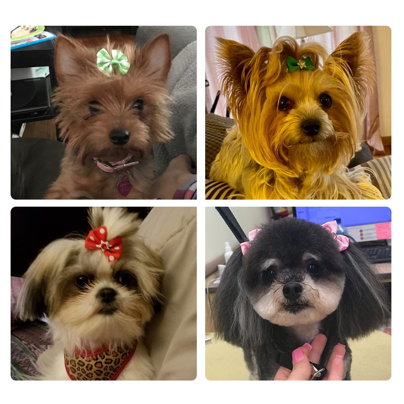 Rimobul 50Pcs Yorkie Pet Hair Bows With Rubber Bands, Cute Small Dog Hair Bows Pet Handmade Hair Bowknot Puppy