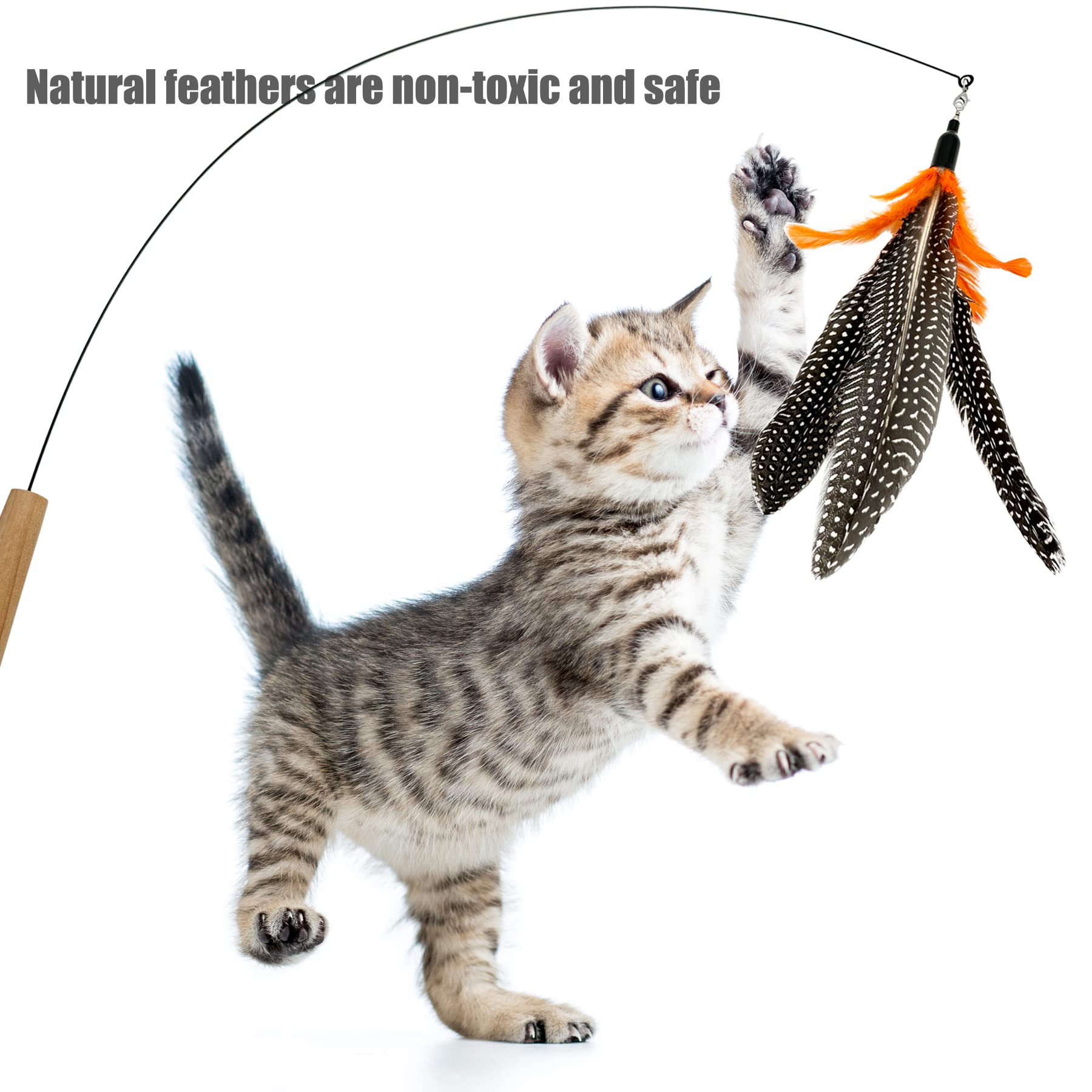 Cateneed Cat Feather Toys Refill, 6 Pieces Cat Wand Attachments Da Bird Feathers Toy For Indoor Cats