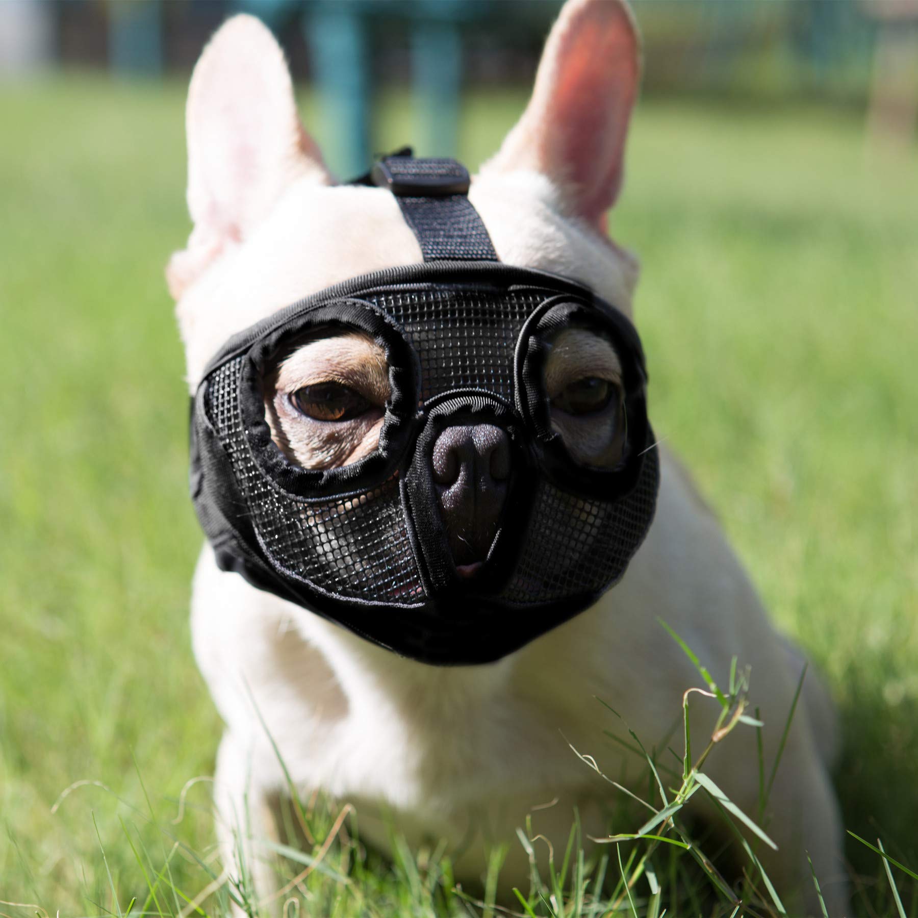 Jyhy Short Snout Dog Muzzle- Adjustable Breathable Mesh Bulldog Muzzle For Biting Chewing Licking Grooming Dog Mask,Black S