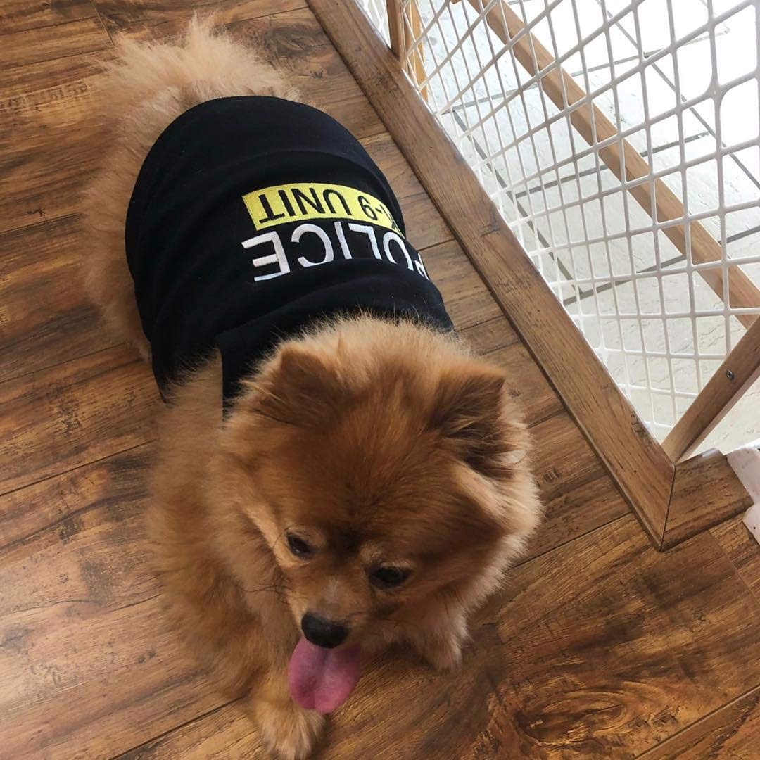 Parisian Pet Dog Cat Police Tee Shirt Embroidered T-Shirt, 3Xl