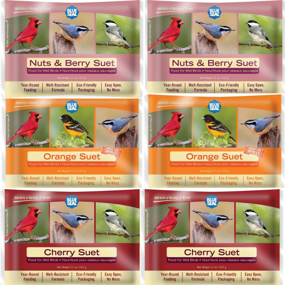 Blue Seal Berry Blend Suet Cakes for Wild Birds - No Mess Suet Feed, Food for Woodpeckers, Cardinals, Siskins, Sparrows & More -