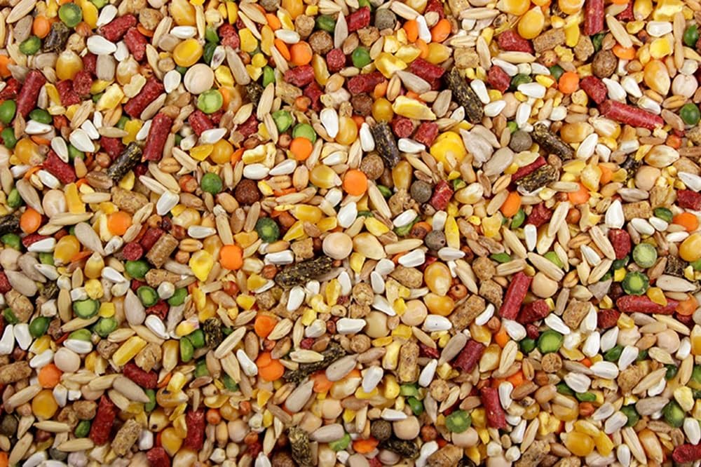 DelightFood Chicken Feed, Whole Ingredient Chicken Treat, Wied Variety of Grains Poultry Feed (10 Pound (Pack of 1), High-Octain