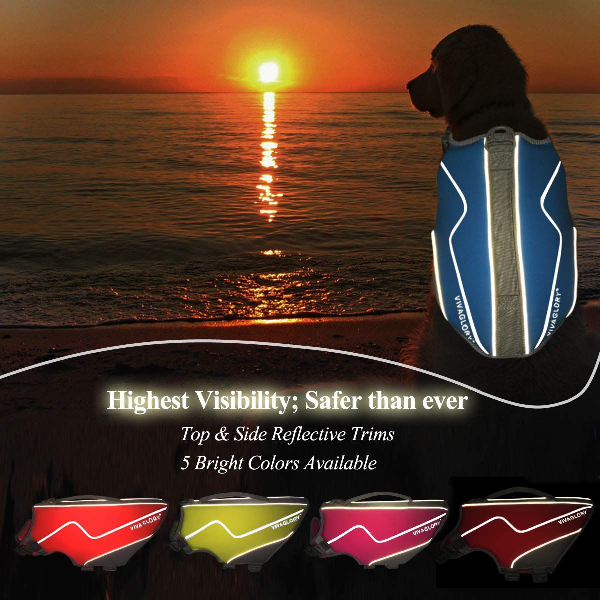 Vivaglory Neoprene Dog Life Jacket Dog Life Vest For Boating Hunting & Swimming, Lightweight With Leash Ring, M, Blue