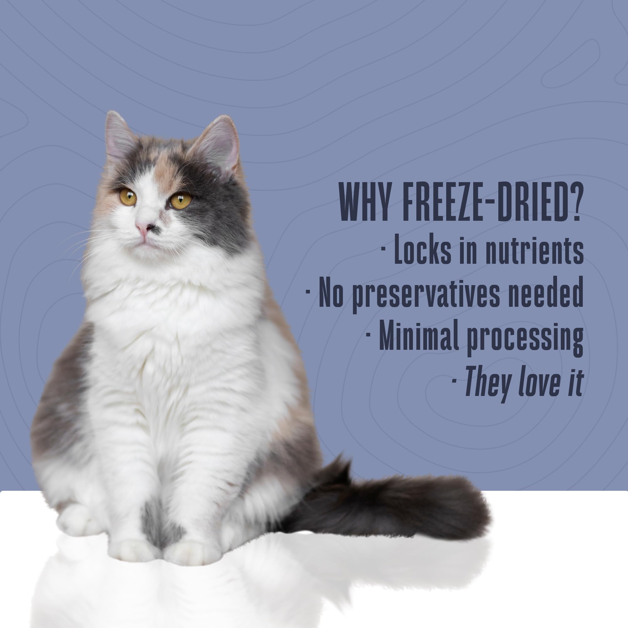 Whole Life Pet Just One Tuna Freeze Dried Cat Treats - Human Grade Cat Food Toppers, High Protein Cat Snacks, Cat Toppers for Fo