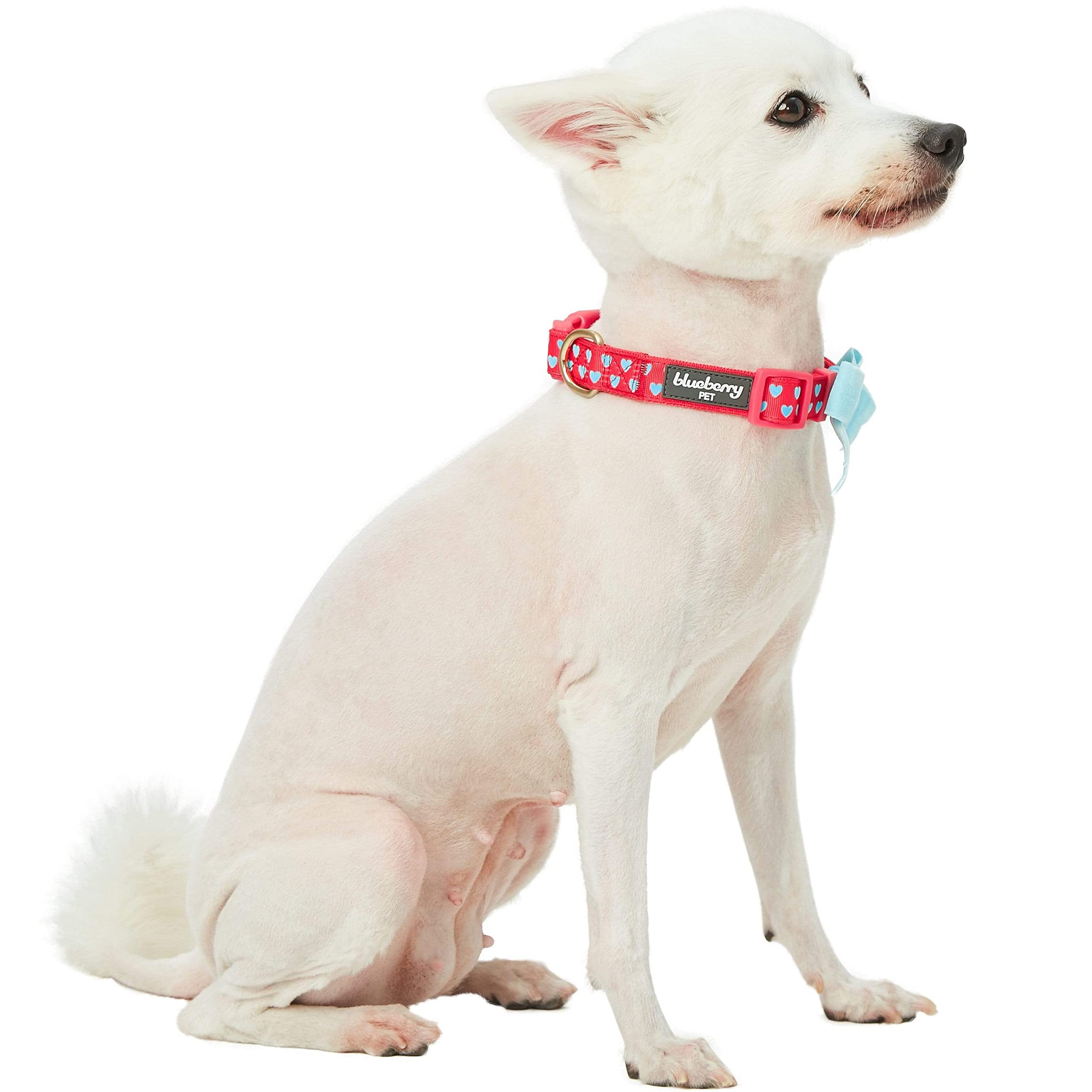 Blueberry Pet Heart Flocking Dog Collar Valentine’S Day Adjustable Collars With Velvety Bowtie For Small Dogs, Lust Red, Neck 12'-16'