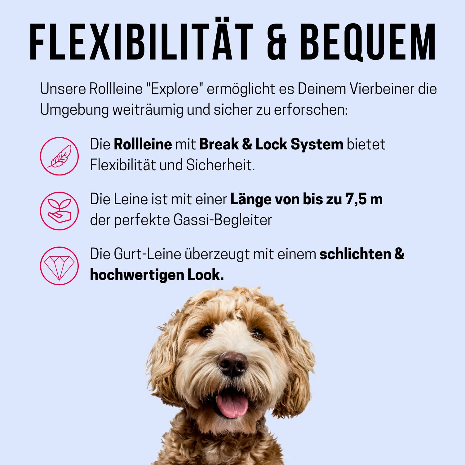 Alcott Kong Explore Retractable Dog Leash, Large, Red, 24' Long,Kng Exp Lg Rd