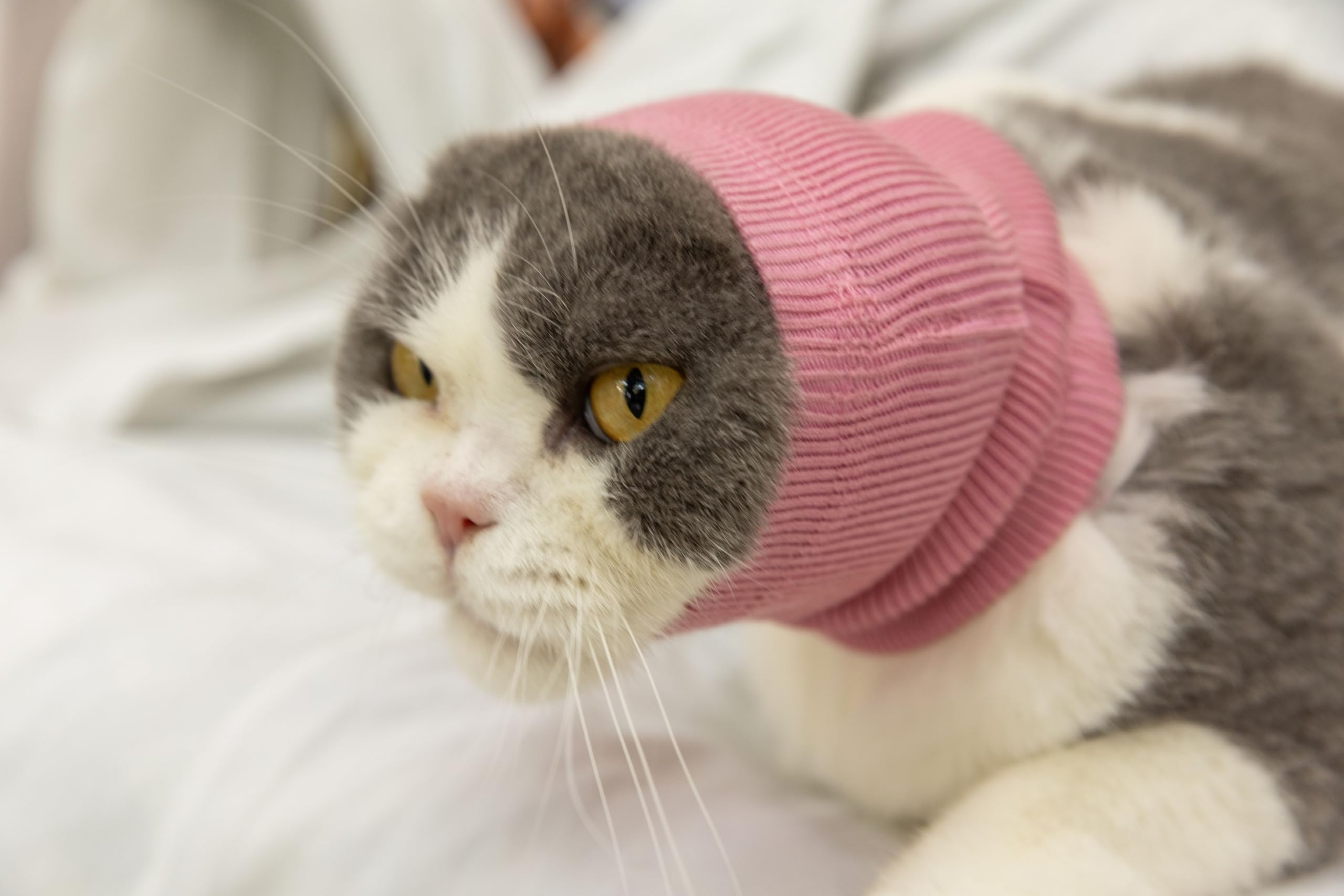 DDFS Cat Ear Cover Calm Cat Ear Wrap Neck Hematoma Compression Comfort Ear Wrap for Cats Wine Red S