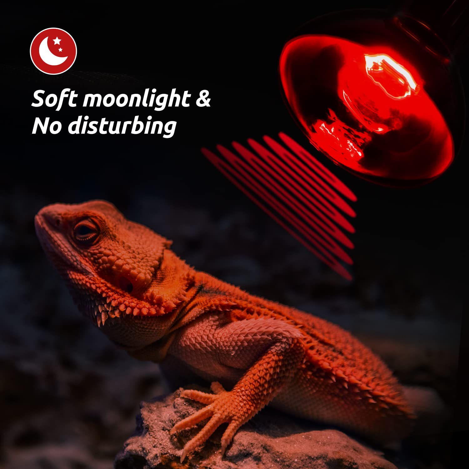 Reptizoo 75W Reptile Heat Lamp Bulb 2Pcs Day & Night Heat Lamp Combo Pack Include Nightlight Infrared Heat Emitter And Uva Daylight Heating Lamp