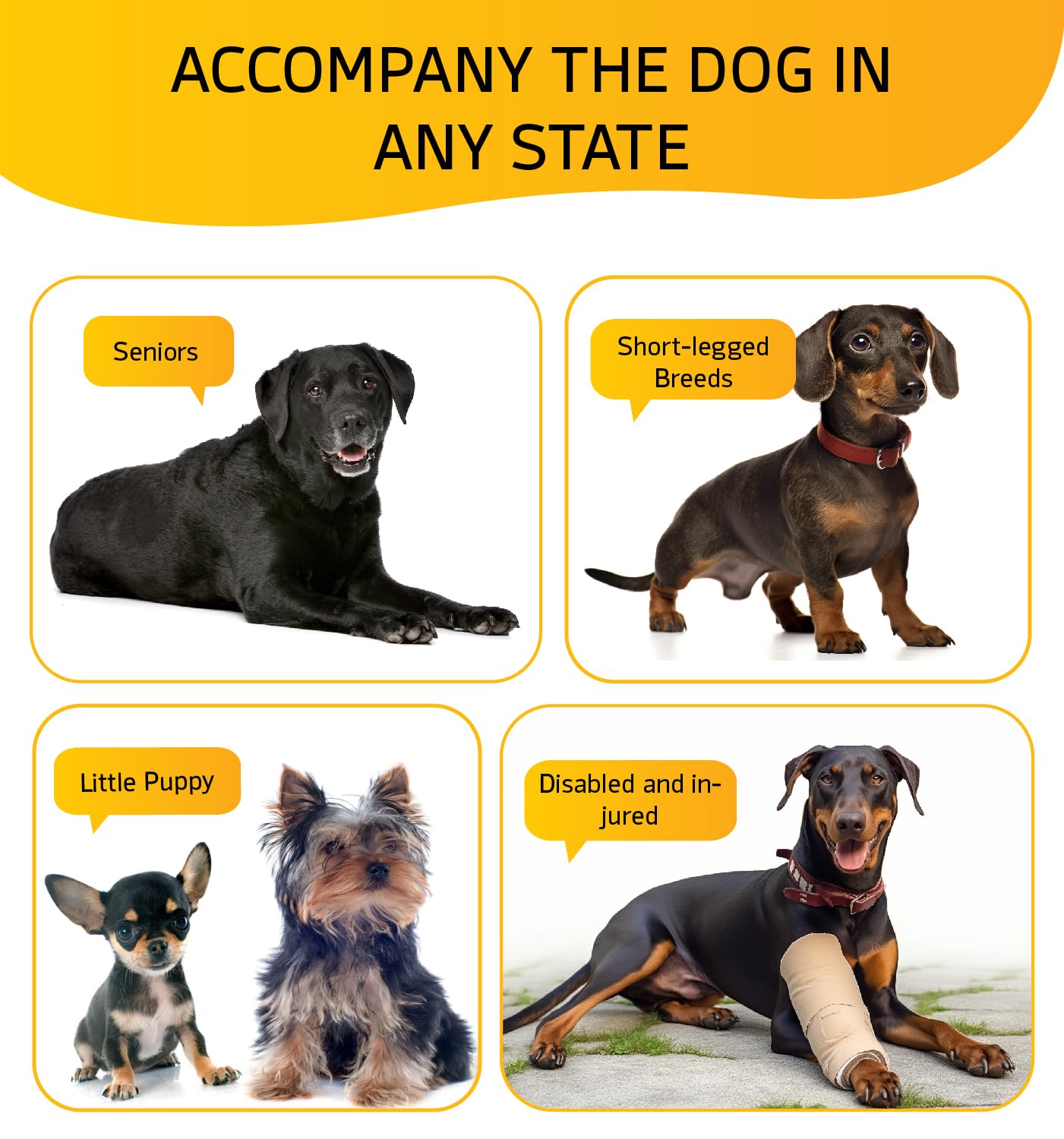 ABCPET Dog Stairs for High Bed, Dog Steps for Bed Couch Sofa, 35D Foam Extra Wide Pet Steps for Small Dogs and Cats, Pet Stairs