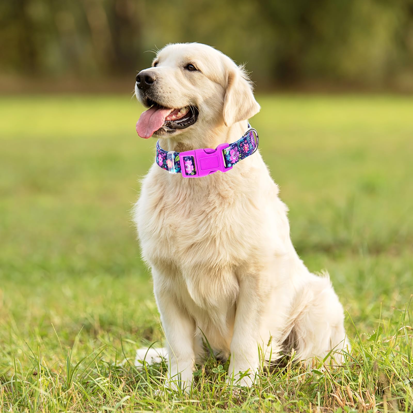 Dog Collars For Medium Dogs,Cute Girl Dog Collar With Boho Flowers Patterns,Adjustable Comfy Soft Durable Pet Collar For Small M