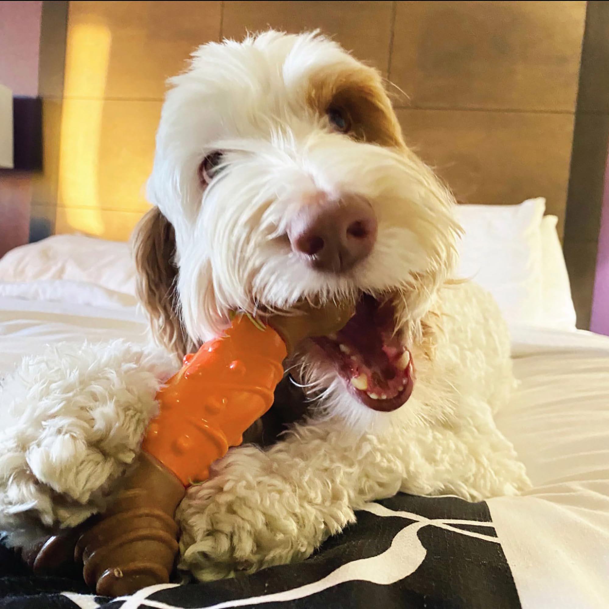 Spot Bam-Bones Dental Bone - Made With Bamboo Fiber And A Massaging Rubber Center, Durable Oral Care Dog Chew For Light Chewers & Teething Puppies Under 25Lbs, 6In Allergen Free Peanut Butter Flavor