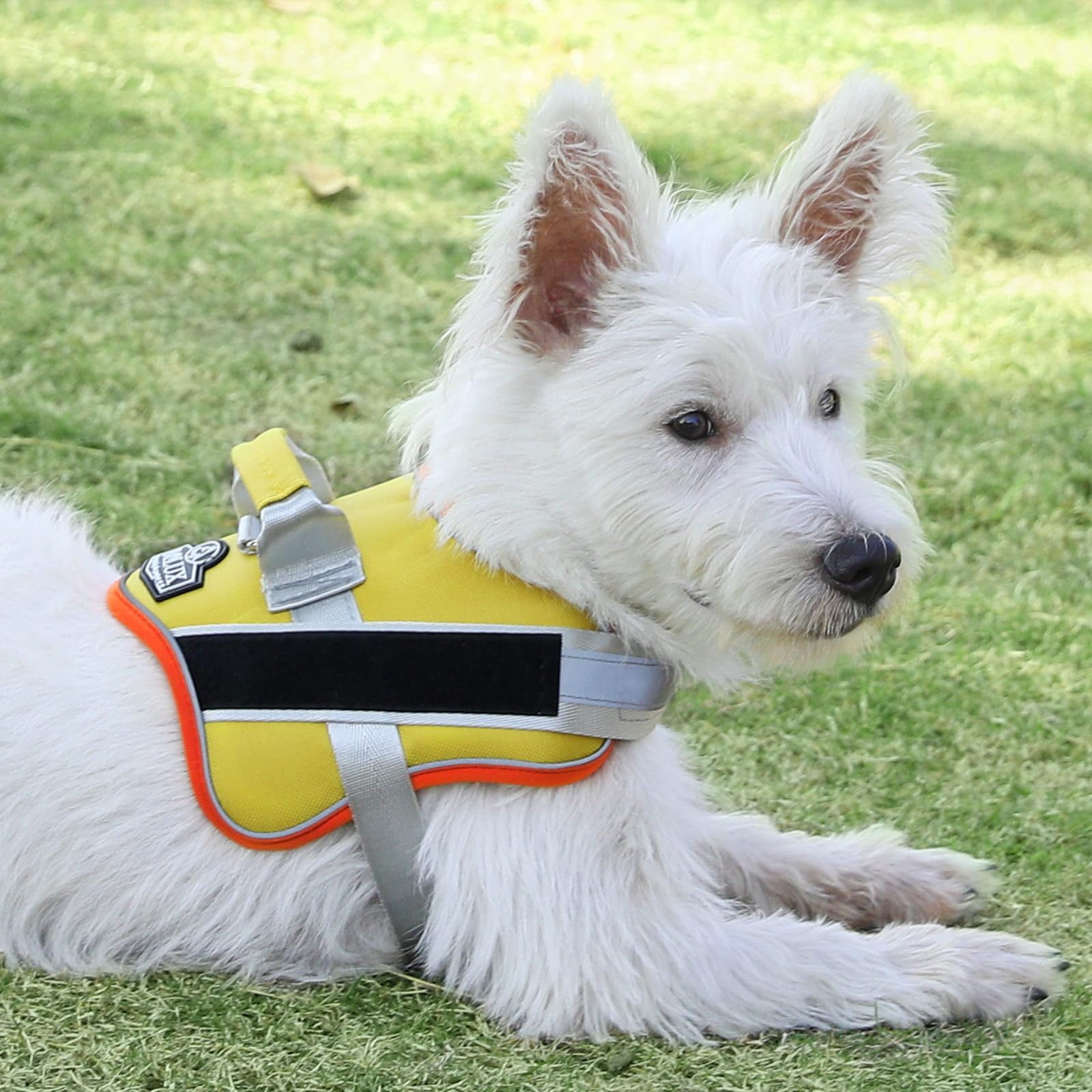 Bolux Dog Harness, No-Pull Reflective Dog Vest, Breathable Adjustable Pet Harness With Handle For Outdoor Walking - No More Pulling, Tugging Or Choking (Xx-Large (Pack Of 1), Yelloworange)