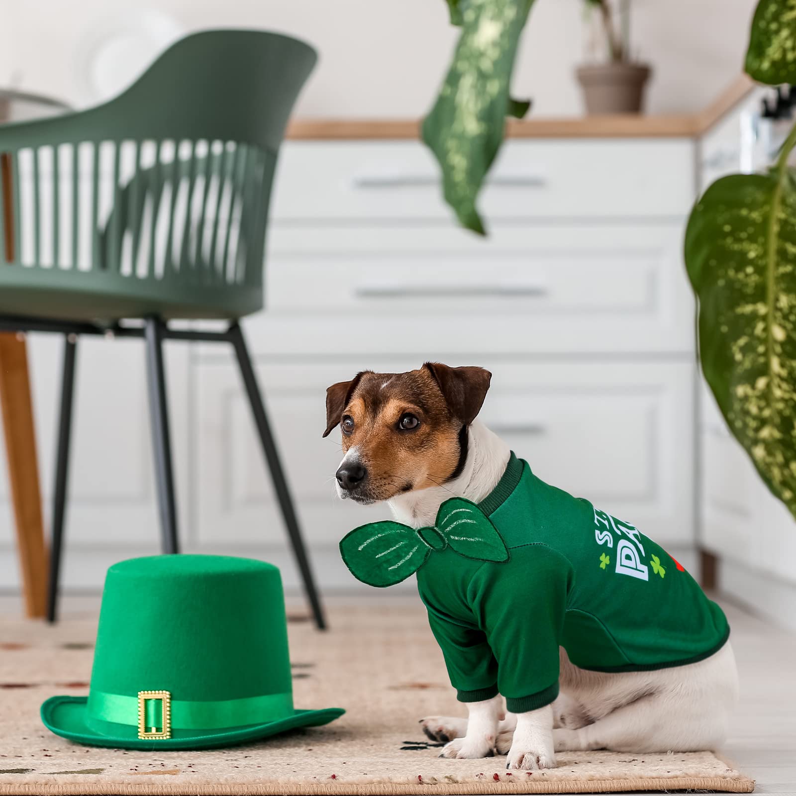 Pedgot 2 Pieces St. Patrick'S Day Pet Shirts Dog Clothes Green Clover Puppy T-Shirt Shamrock Dog Sweatshirt Printed Puppy Shirts