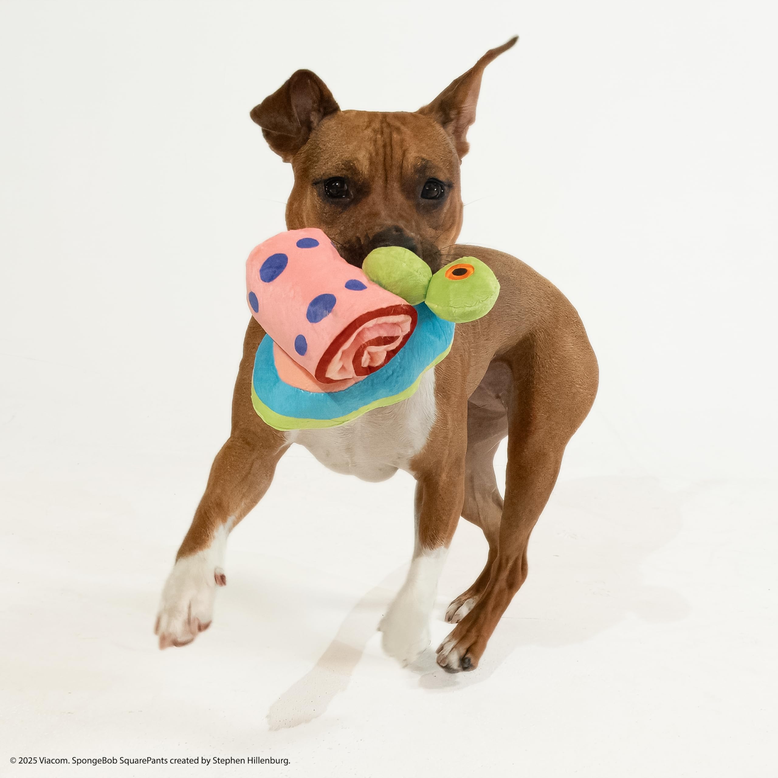 Design Lab, Inc. Spongebob Squarepants Official Merchandise | Plush Dog Toys | 2-Pack Gary & Spongebob Tennis Ball & Treat Dispe