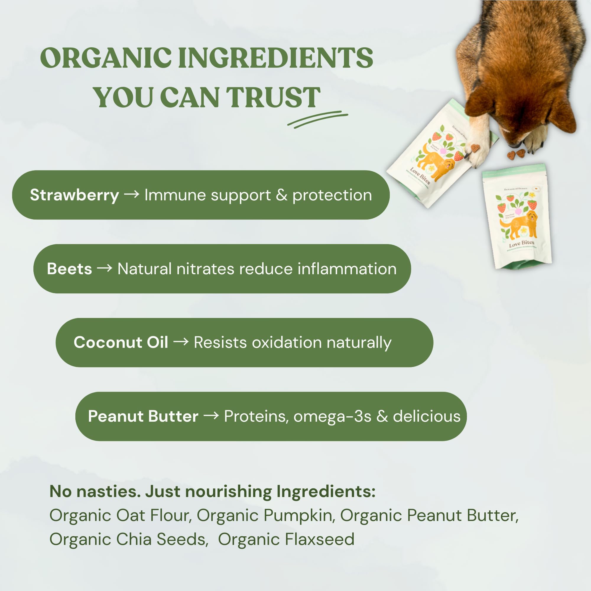 BOTANICAL BONES Love Bites Organic Training Treats for Dogs, Wheat-Free, Vegan Dog Treats, Clean Ingredients, Baked in The USA,