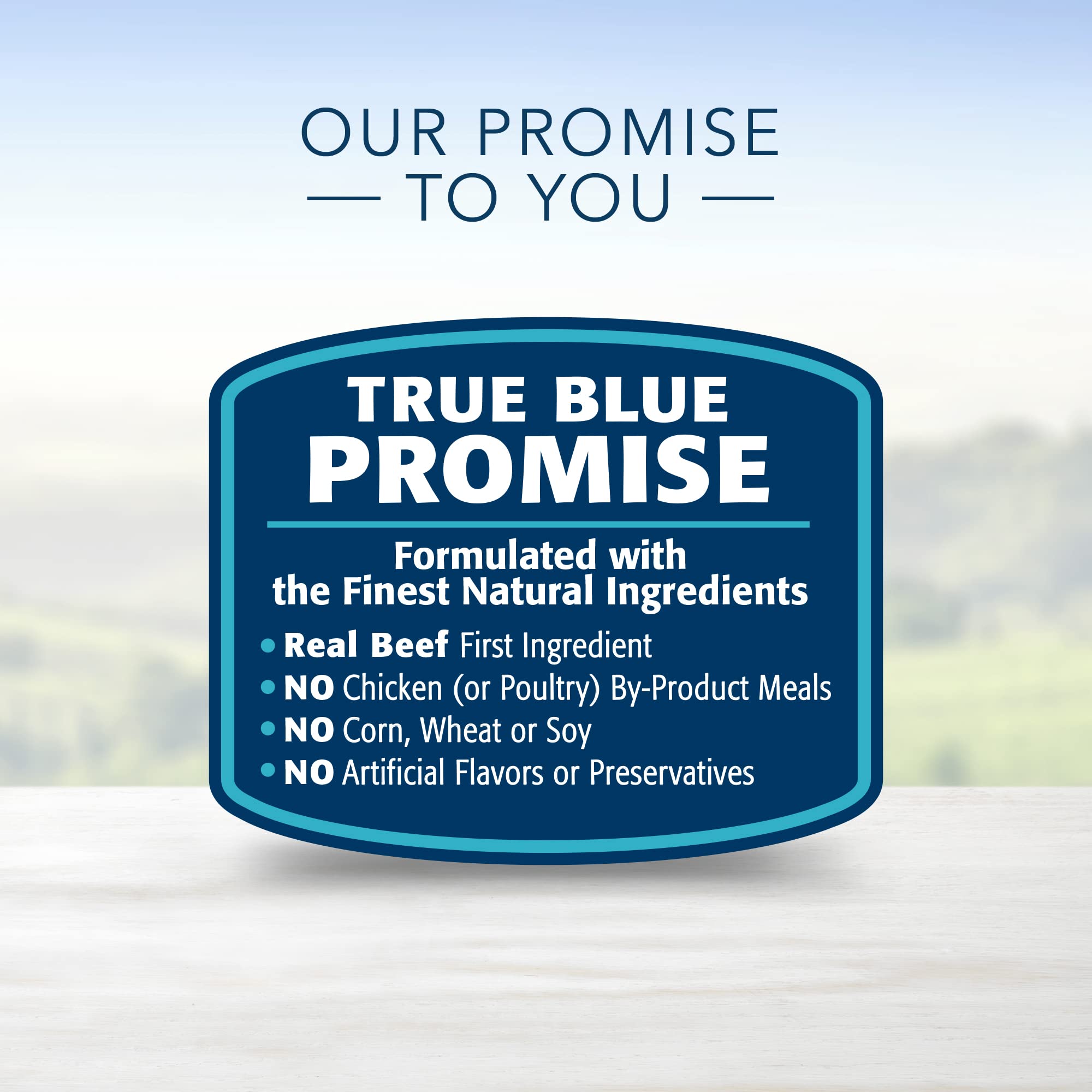 Blue Buffalo Delights Small Breed Natural Wet Dog Food, NY Strip Flavor in Gravy, 3.5-oz Cups, 12 Count