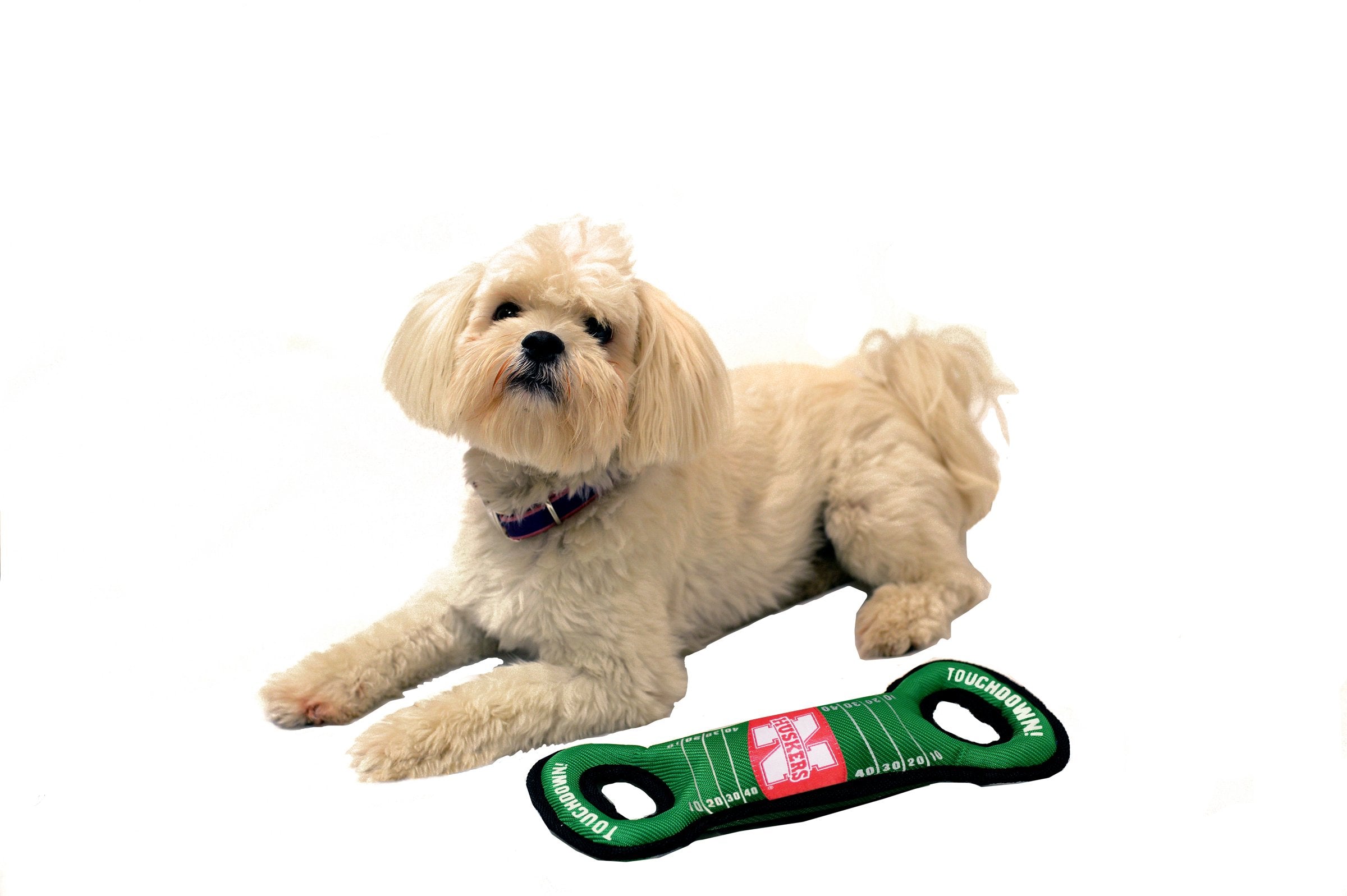 Pets First Ncaa Football Field Dog Toy With Squeaker. - Nebraska Cornhuskers - For Tug, Toss, And Fetch. - Tough& Durable Pet To