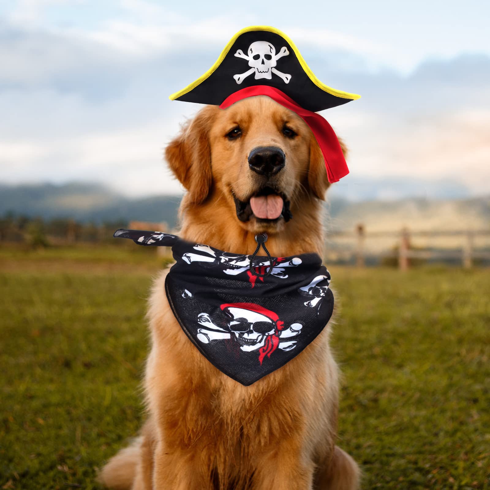 Aichiyu 2 Pieces Skull Print Pet Pirate Hat With Pirate Skull Bandana Dog Cat Captain Cap Halloween Pirate Cosplay Costume Halloween Party Hat Dress Up Costume Accessories (B) One Size