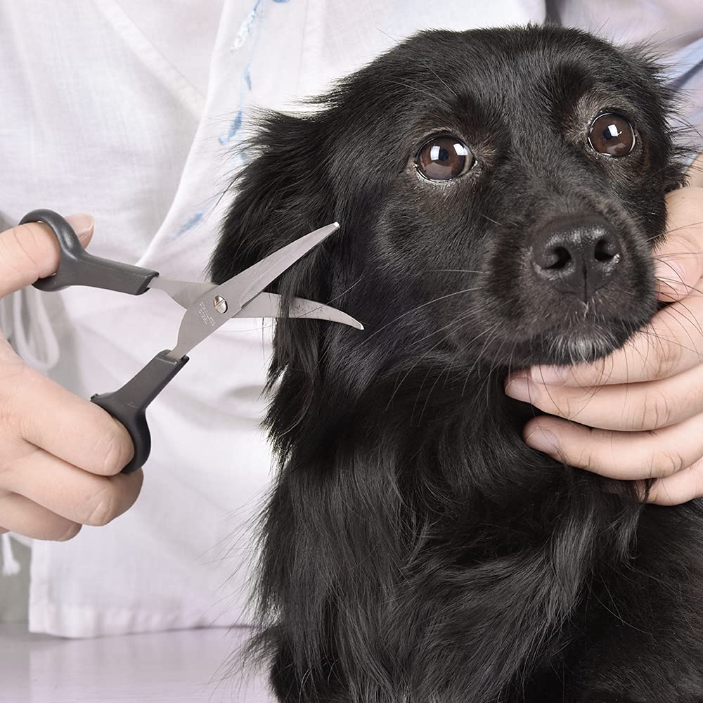 Chibuy Pet Grooming Scissors Set Ball Tip Eye Cut Scissors And Curved Shears, Professional Home Pets Grooming Tools Kit For Dogs And Cats