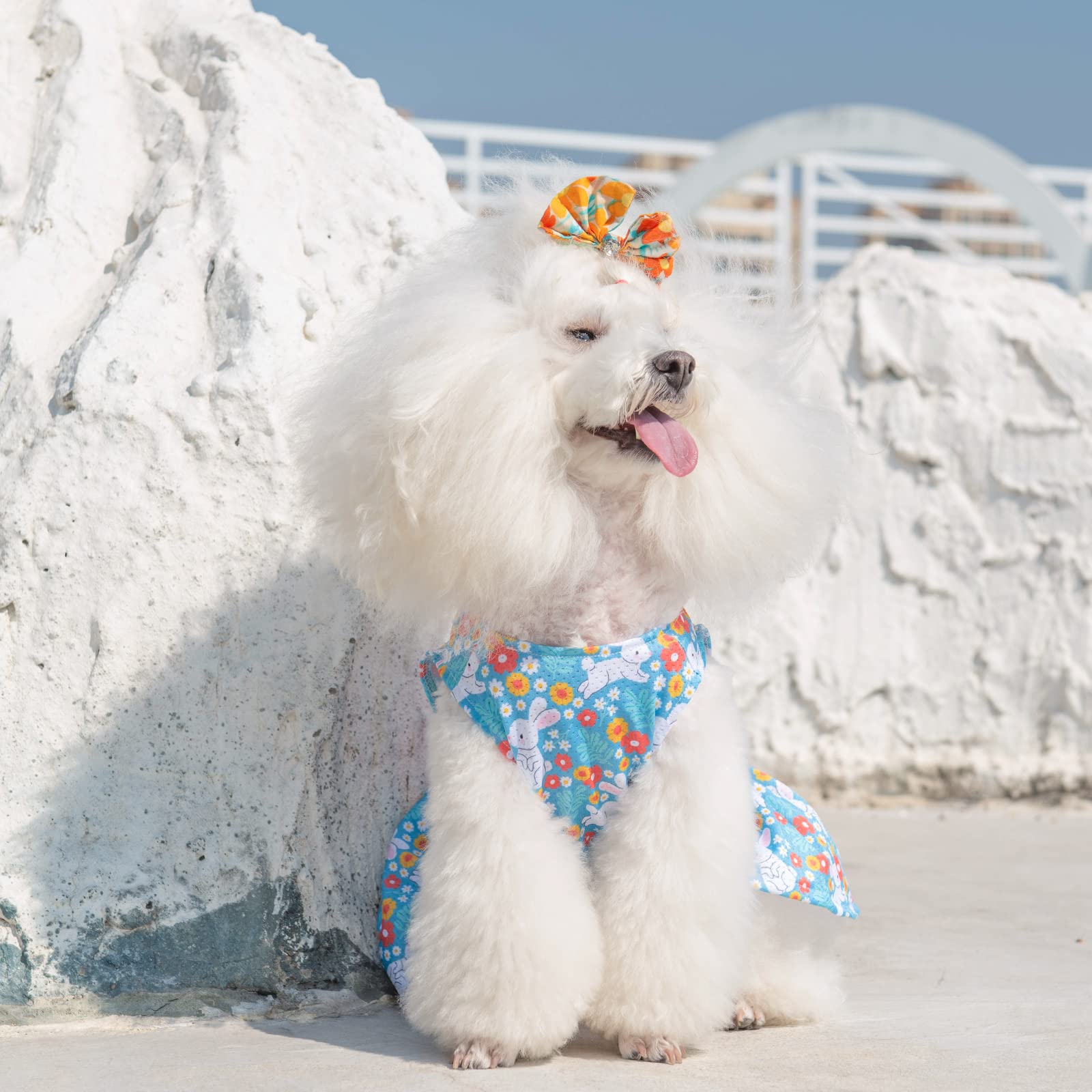 Cutebone Dog Easter Dress Puppy Sundress Pet Outfit Summer Fashion For Small Dogs Girl Cat Clothes Bf08M