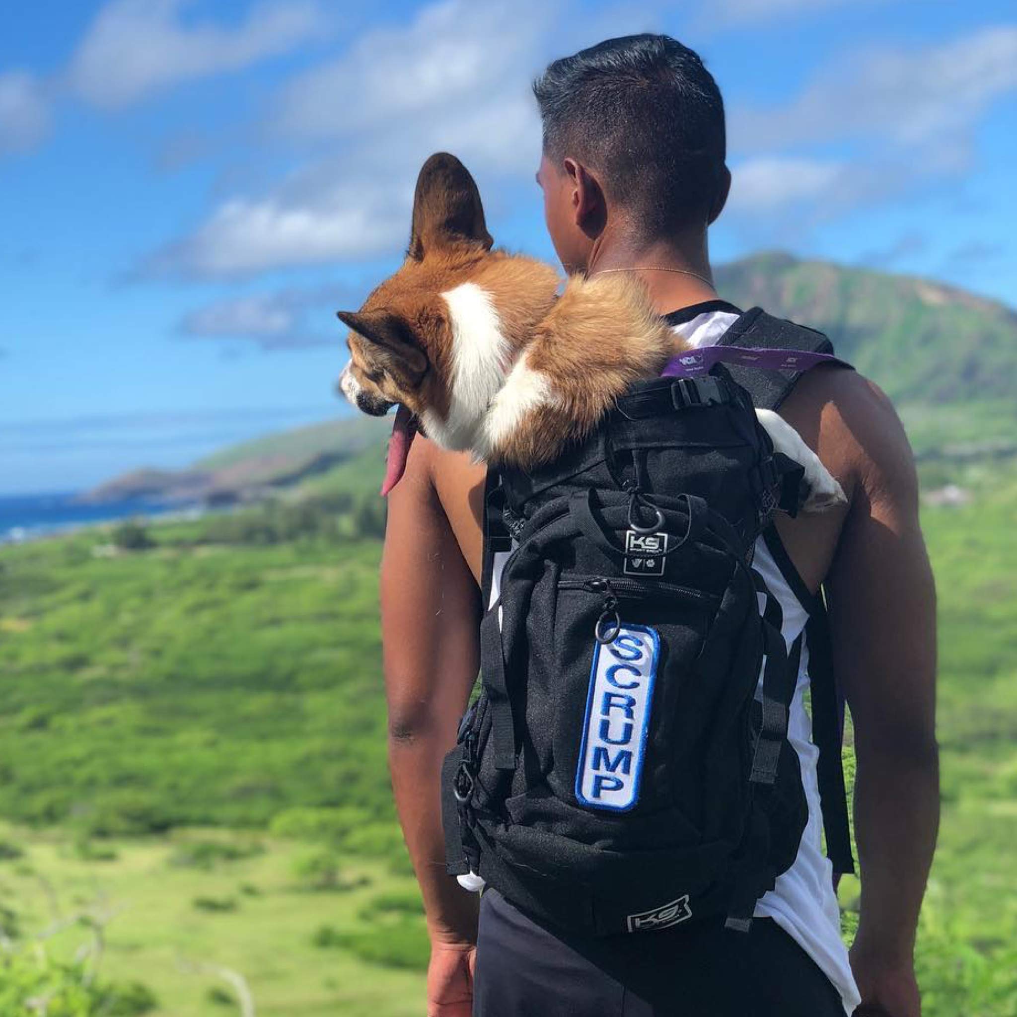 K9 Sport Sack Custom Name Patch Dog Carrier Backpack (Yellow) 2' X 6'