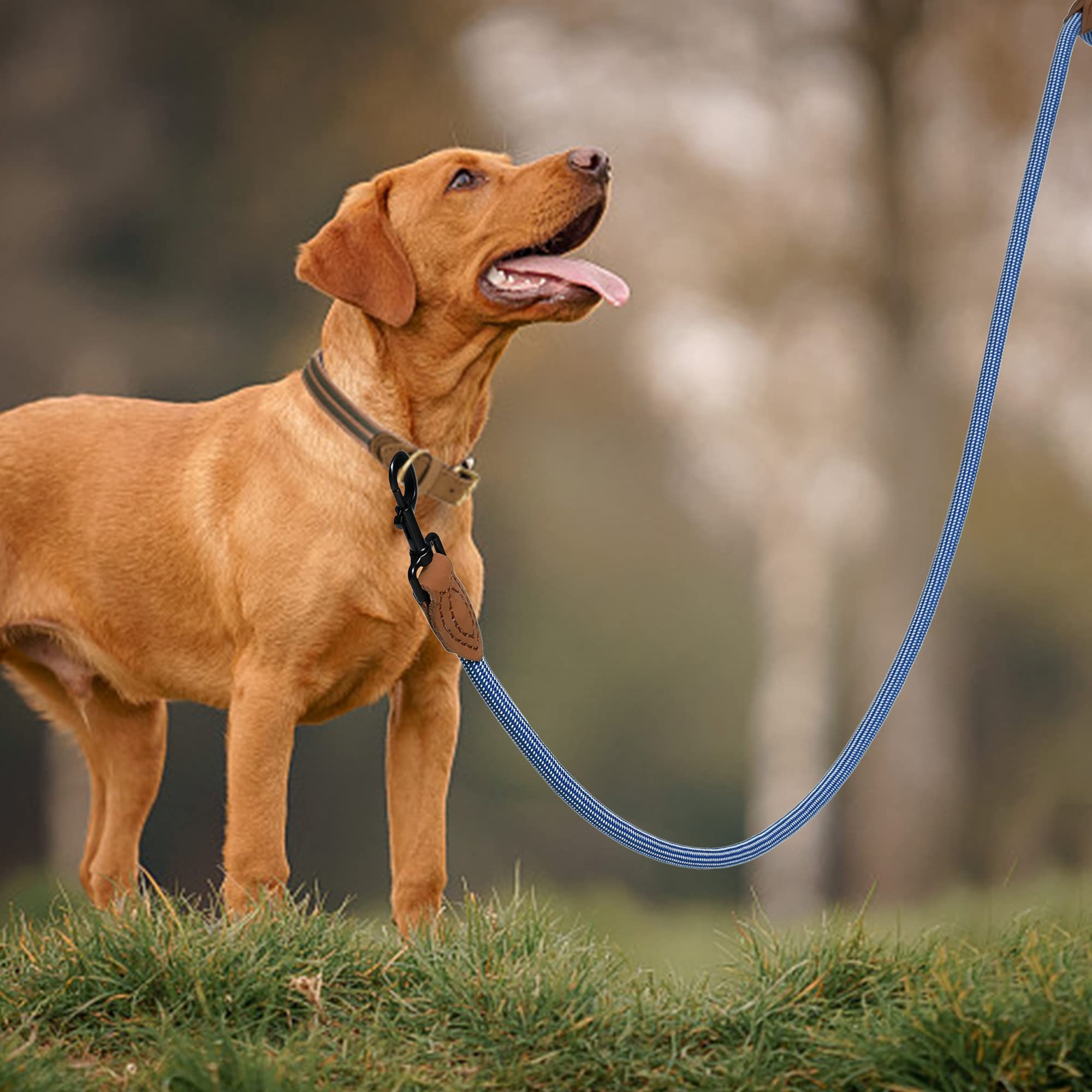 Mile High Life Rope Leash With Genuine Leather Connection, 6 Ft/5 Ft/4 Ft, Heavy Duty Leash For Medium & Large Dogs (Blue White,