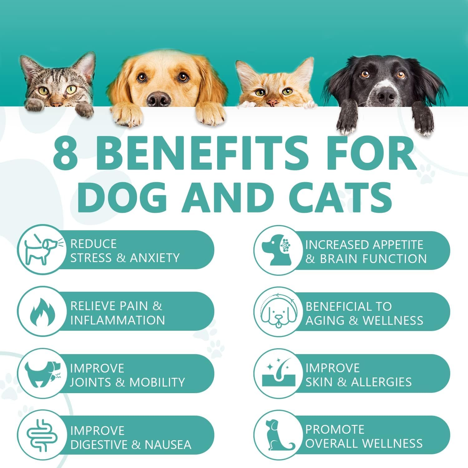 Max Potency Hemp Oil for Dogs Cats - Help Pet Anxiety Stress Pain Inflammation Arthritis Aggressive Relax Sleep Allergies Seizur