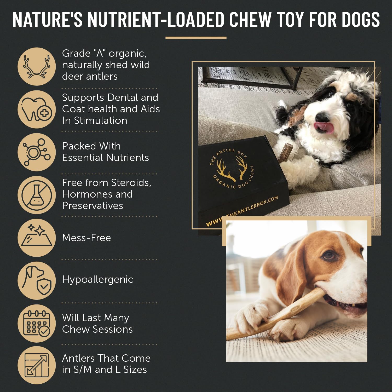 The Antler Box Premium Deer Antler Dog Chews (1 Lb Bulk Pack) (Small(7 To 8 Antlers/Lb
