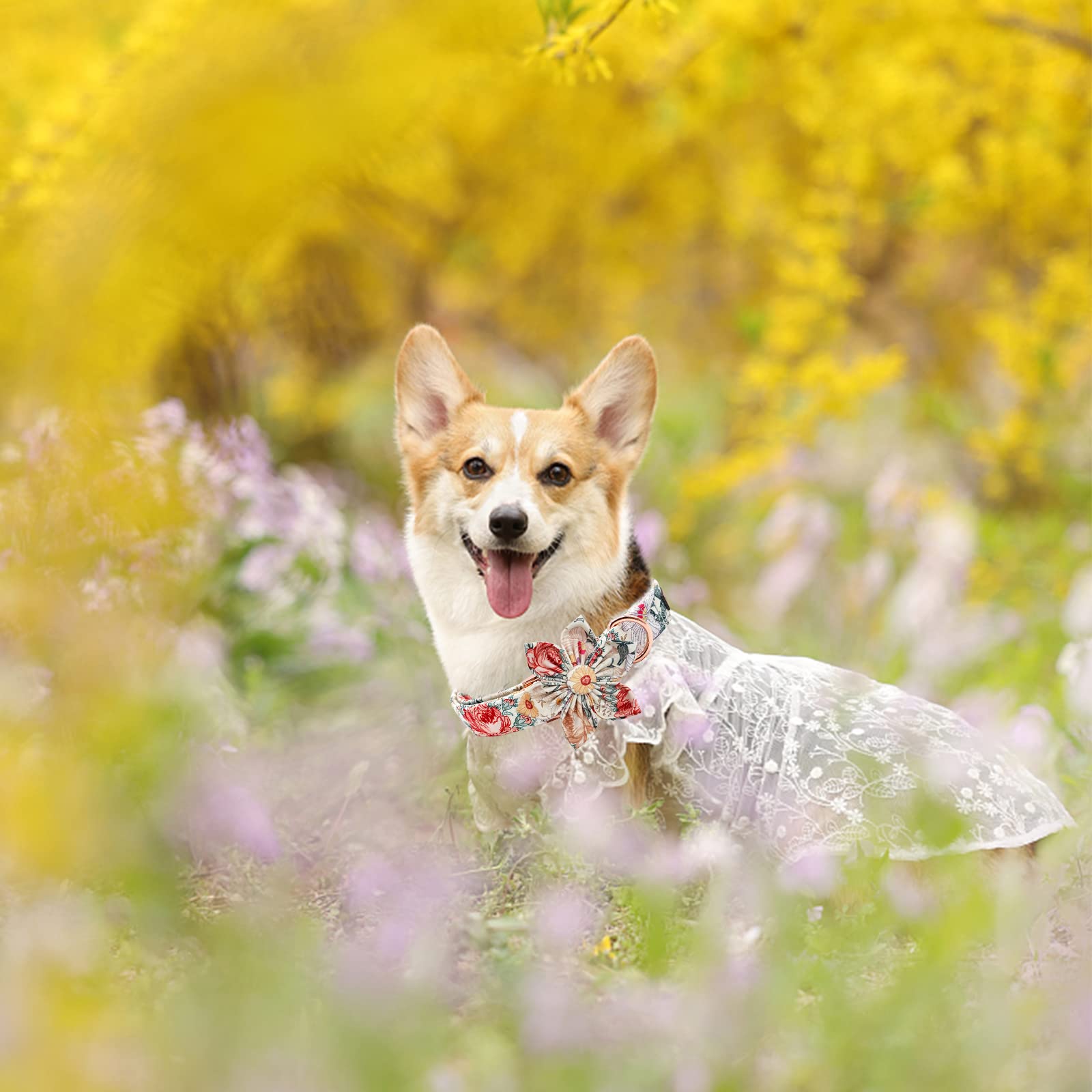 Elegant Little Tail Vintage Floral Dog Collar With Flower, Girl Comfotable Dog Flower, Dog Collar Flower Adjustable Dog Collars For Small Medium Large Dogs