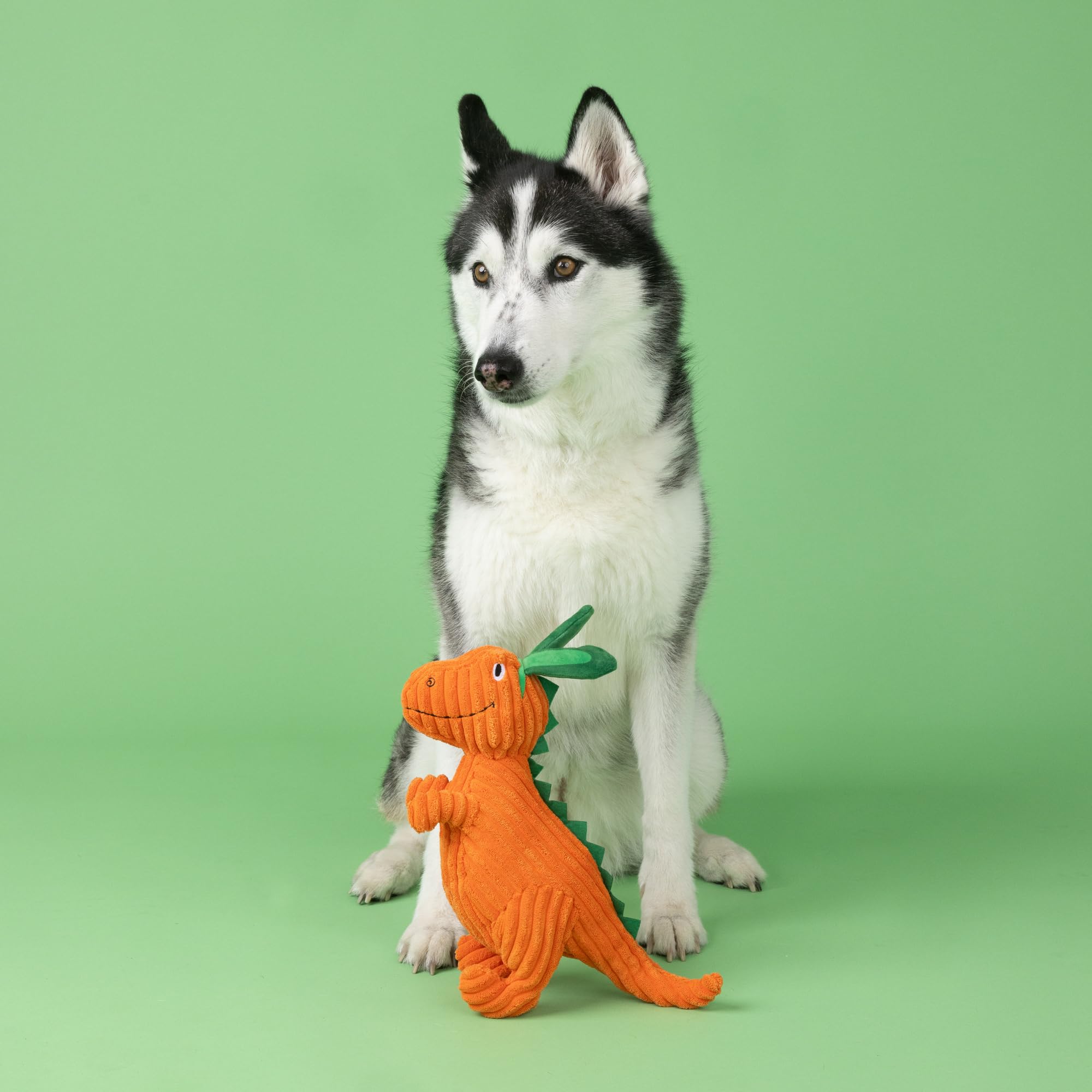 Fringe Studio Plush Dog Toy, Carrot Bout You, Petshop Collection (314305)
