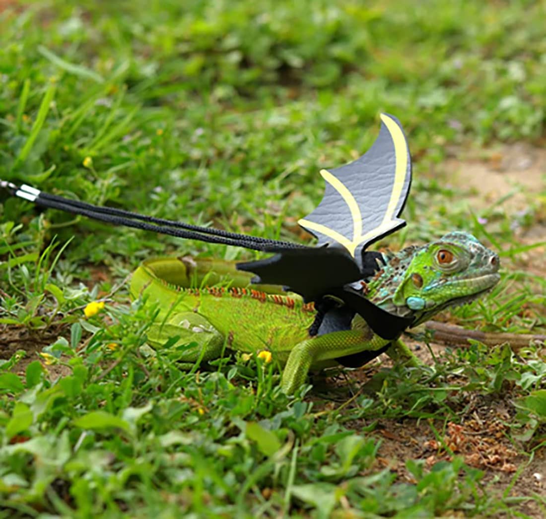 Adjustable Lizard Leash Bearded Dragon Harness Cool Leather Wings Safety Walking Leash(S,M,L,3Pack)