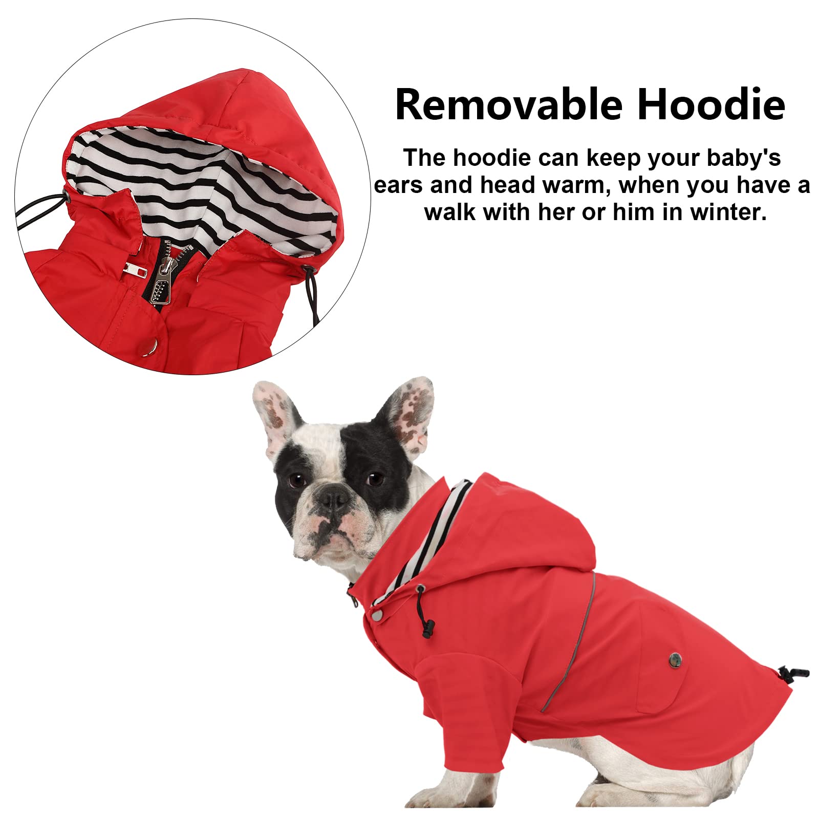 Morezi Dog Zip Up Dog Raincoat With Reflective, Rain/Water Resistant, Adjustable Drawstring, Removable Hood, Stylish Premium Dog Raincoats - Red - Large