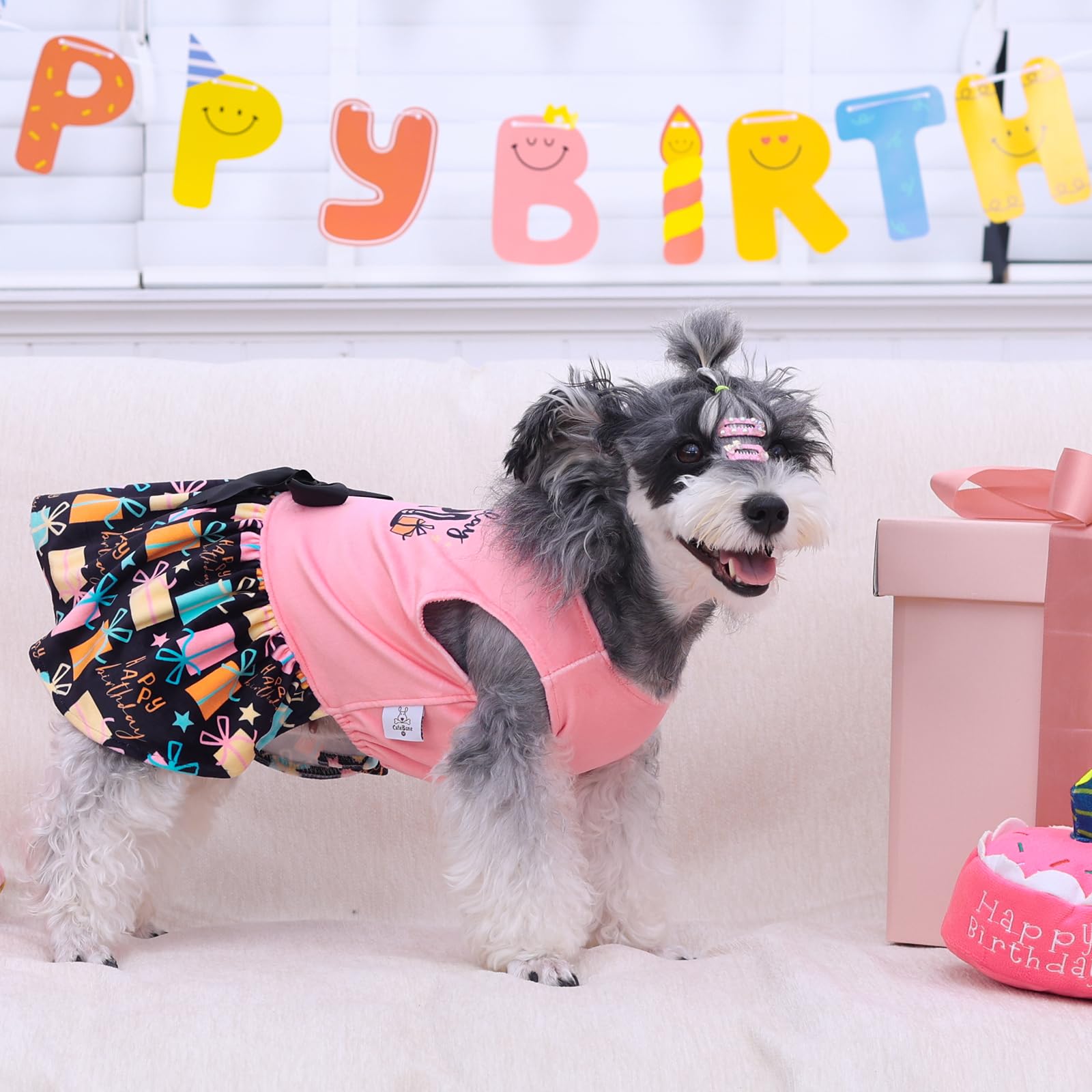 Cutebone Birthday Dog Dresses Velvet Holiday Small Dogs Clothes Onesie Pet Apparel Girl Puppy Skirt With Bow Hair Rope Cva48S-D