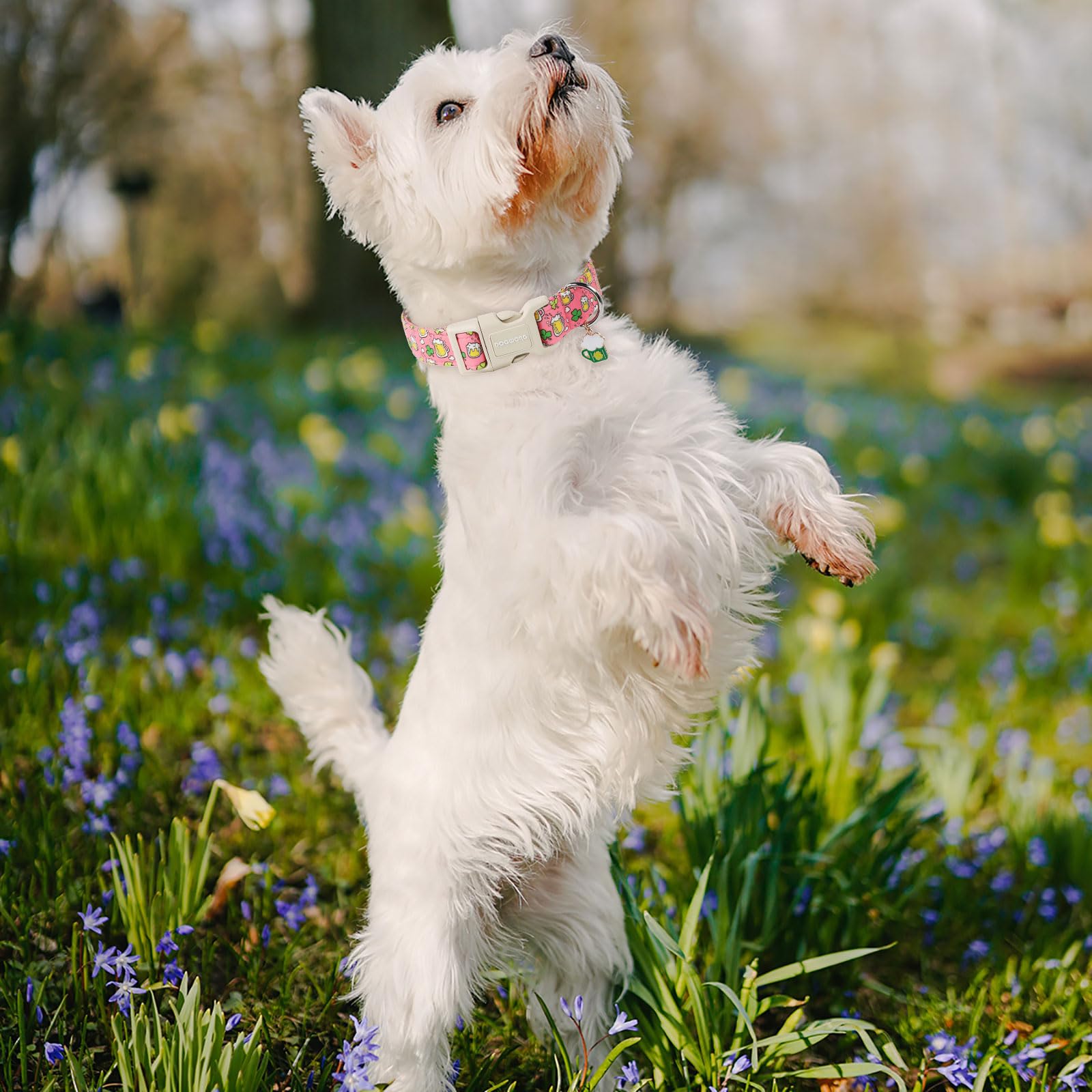 Dogwong St. Patrick'S Day Dog Collar, Pink Green Clover Dog Collars, Adjustable St. Patrick'S Day Pet Collars Beer Dog Collar Wi