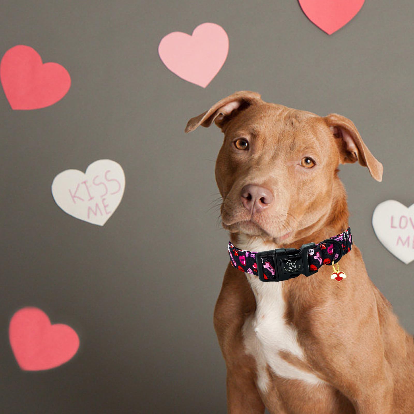 Elegant Little Tail Day Dog Collar, Red Heart Dog Collars Female Or Male Adjustable Cotton Pet Collar With Quick Release Buckle