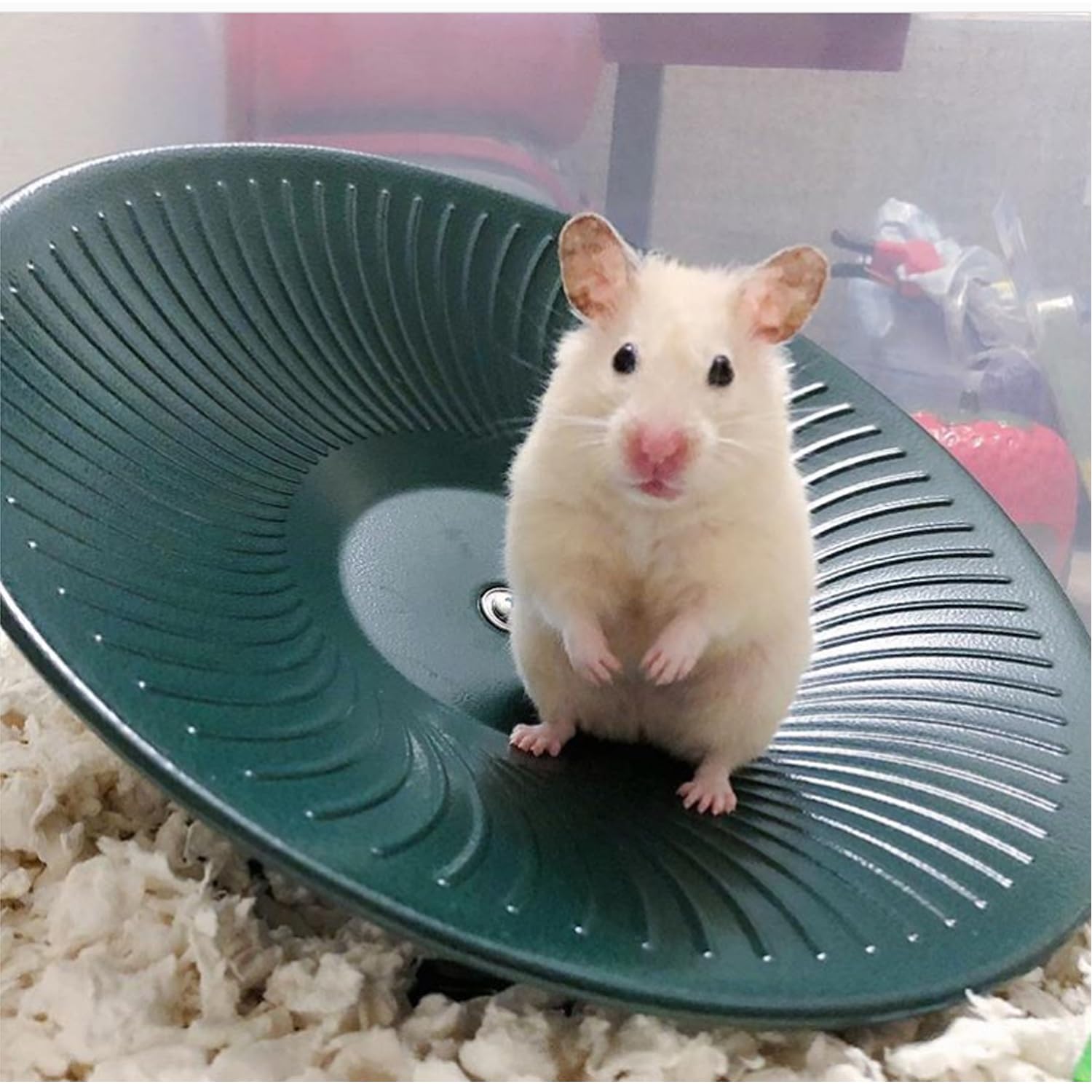 Exotic Nutrition 14 Black All Metal Treadmill Wheel for Small Pets - Silent, Smooth, Durable Exercise Wheel for Chinchillas, Hamsters & More