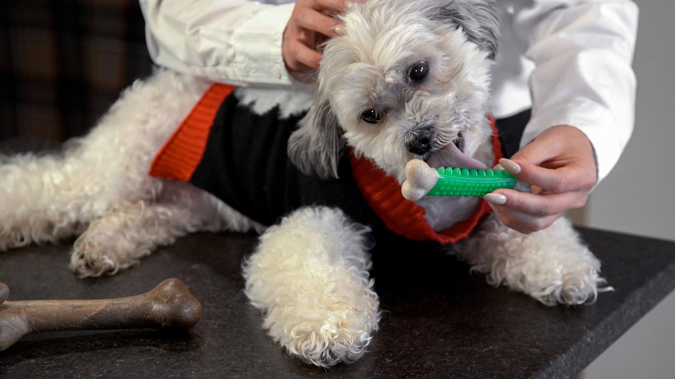 Hero Bonetics Femur & Dental Bones - Dog And Puppy Bones For Aggresive Chewers | Designed For Small Dogs Up To 25 Lbs | Chicken, Mint And Beef Flavored (Pack Of 3)