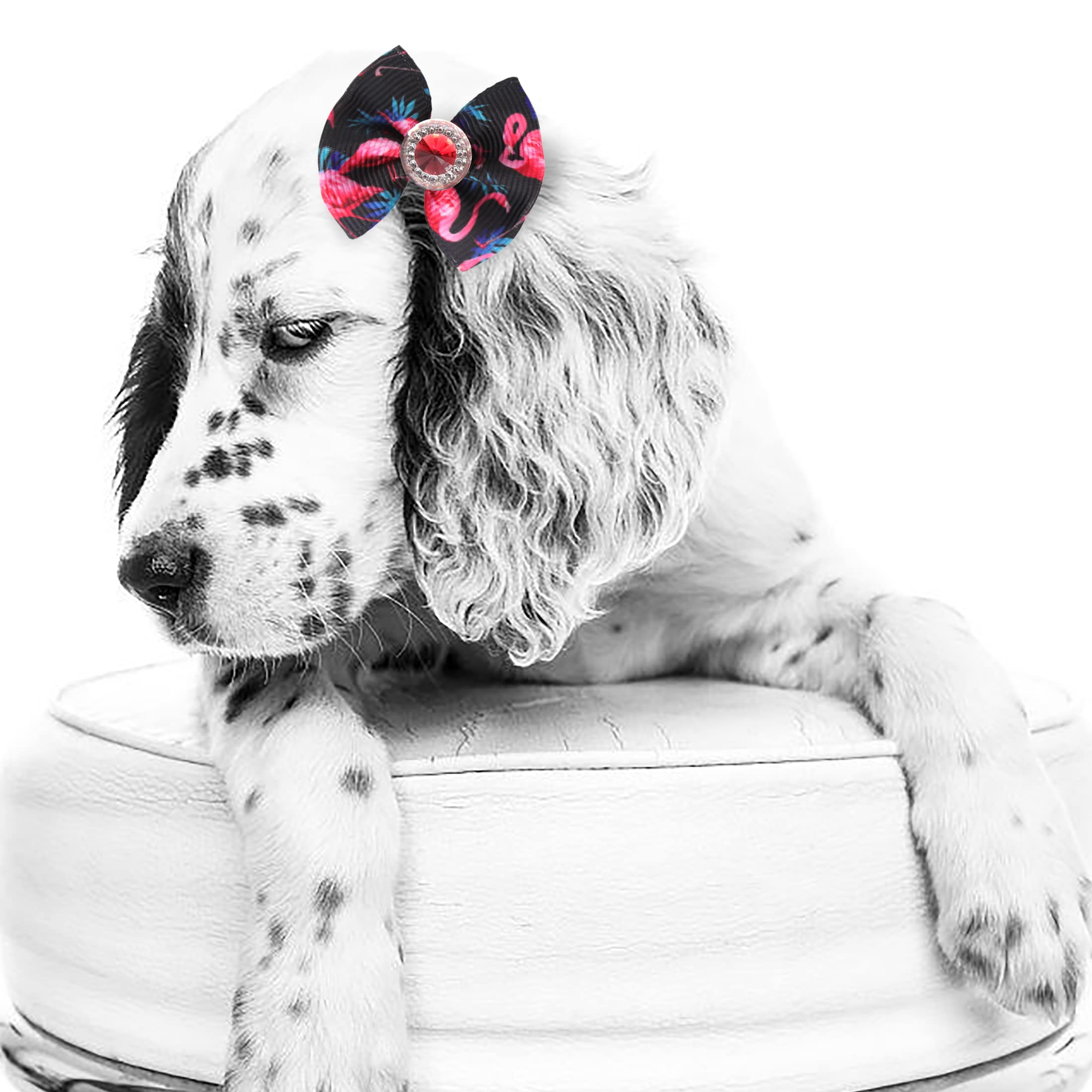 Petbuy Christmas Dog Hair Bows - Cute Puppy Bowknots With Rubber Bands, Pet Grooming Accessories For Party