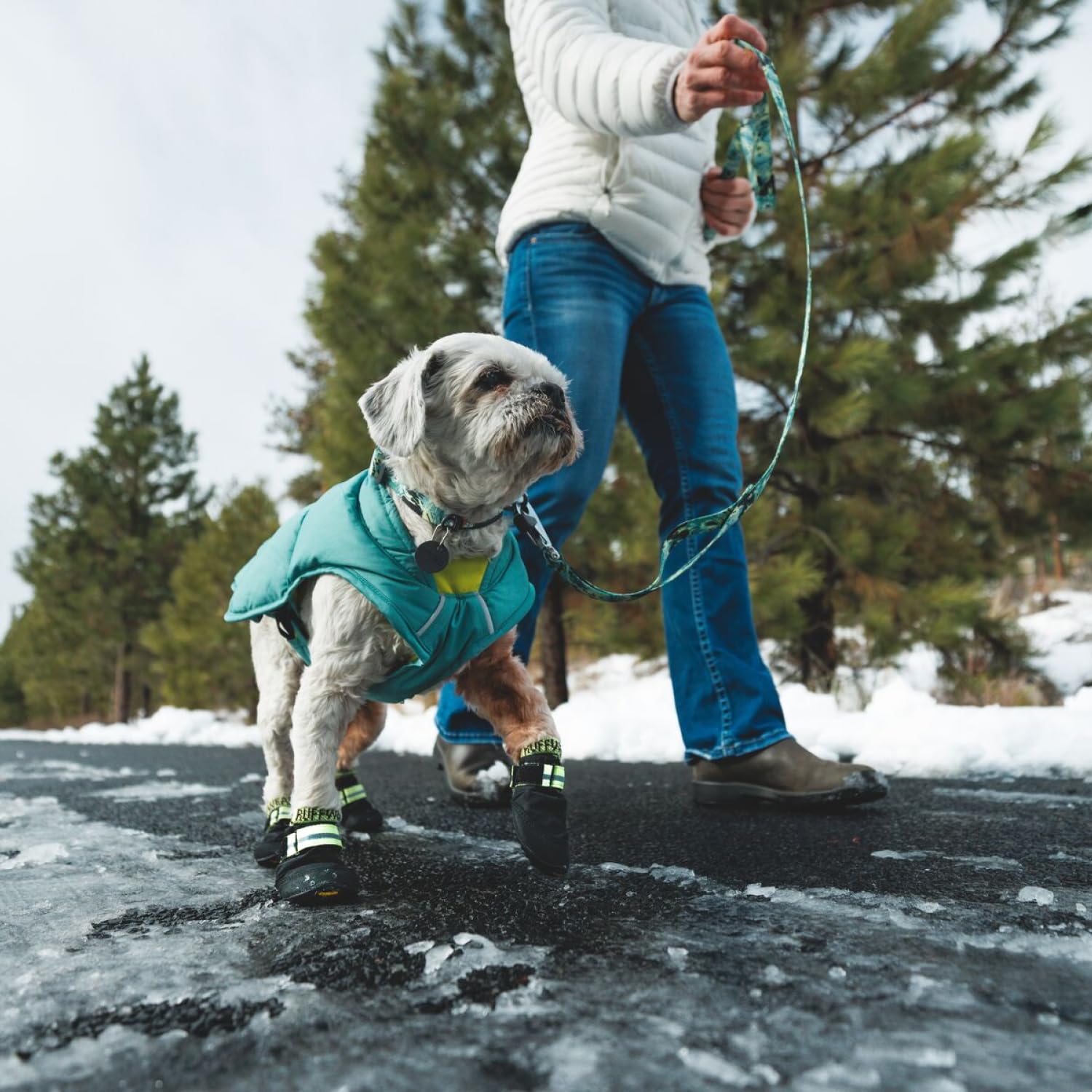 Ruffwear, Front Range Dog Collar, Durable And Comfortable Collar For Everyday Use, Sweeping Sage, 14''-20''