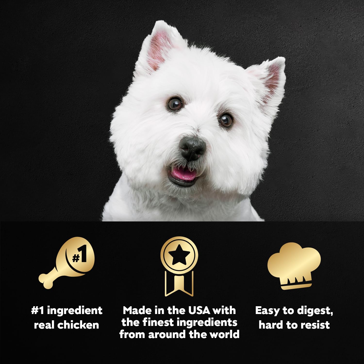 Cesar Wet Dog Food Loaf & Topper in Sauce Rotisserie Chicken Flavor with Bacon & Cheese, 3.5 oz. Easy Peel Trays (24 Count, Pack