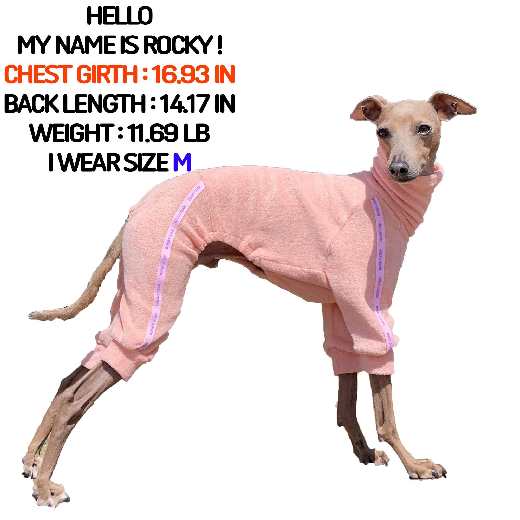 D Doggy Star Italian Greyhound Clothes Stretchy Towel Sports Onesie Outfit Whippet For Dog Coat (S,Twl Apricot)