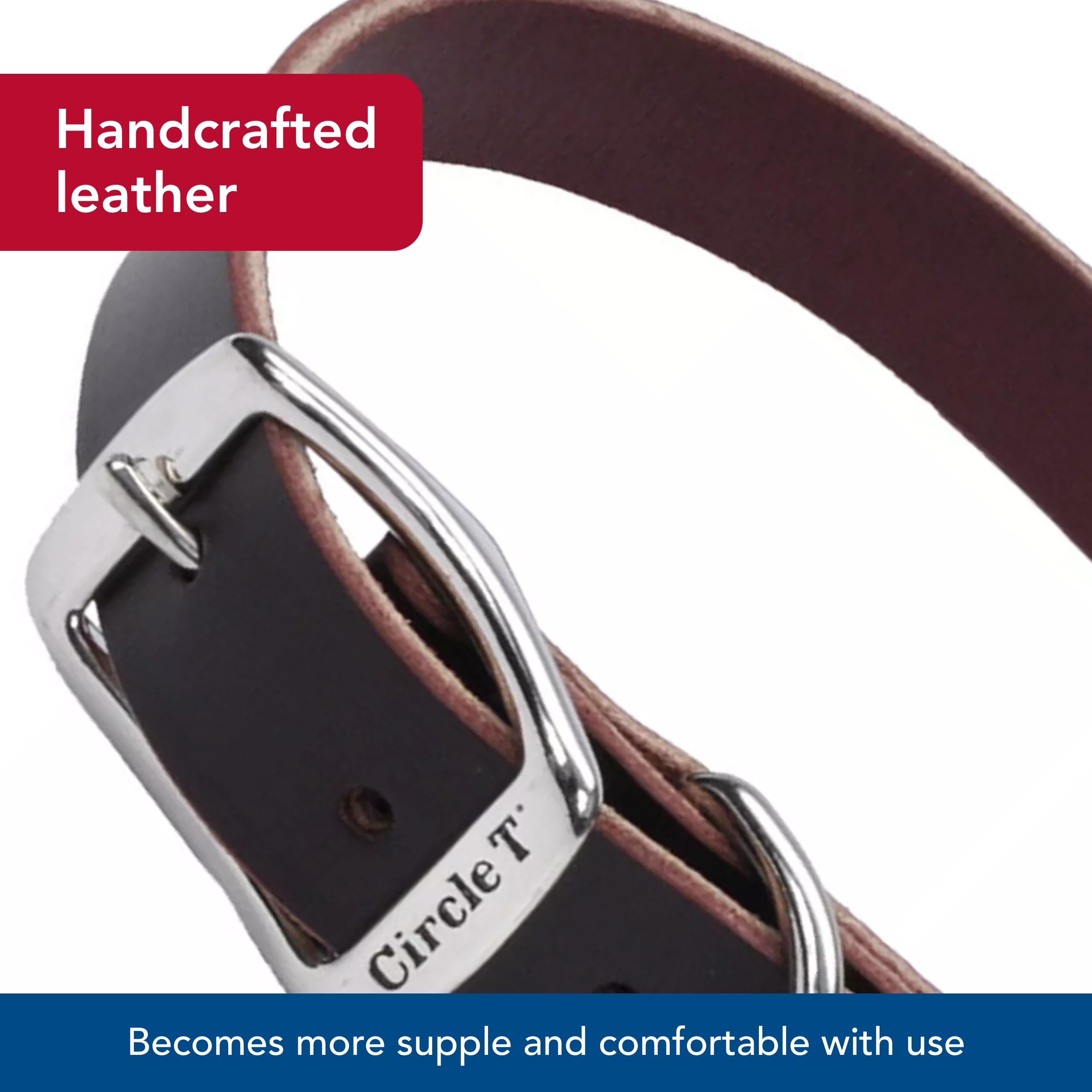 Coastal Pet - Circle T - Latigo Leather Town Dog Collar, Latigo, 3/8'' x 12''