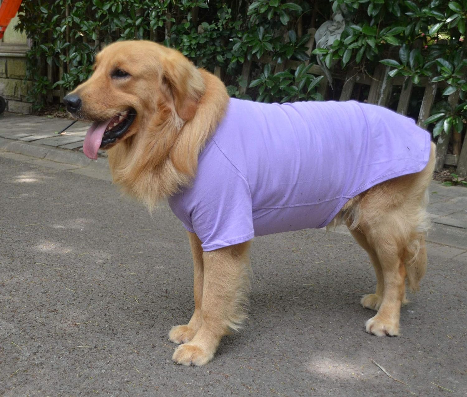 Lovelonglong Pet Clothing Dog Costumes Basic Blank T-Shirt Tee Shirts For Large Dogs Violet Xxxxl