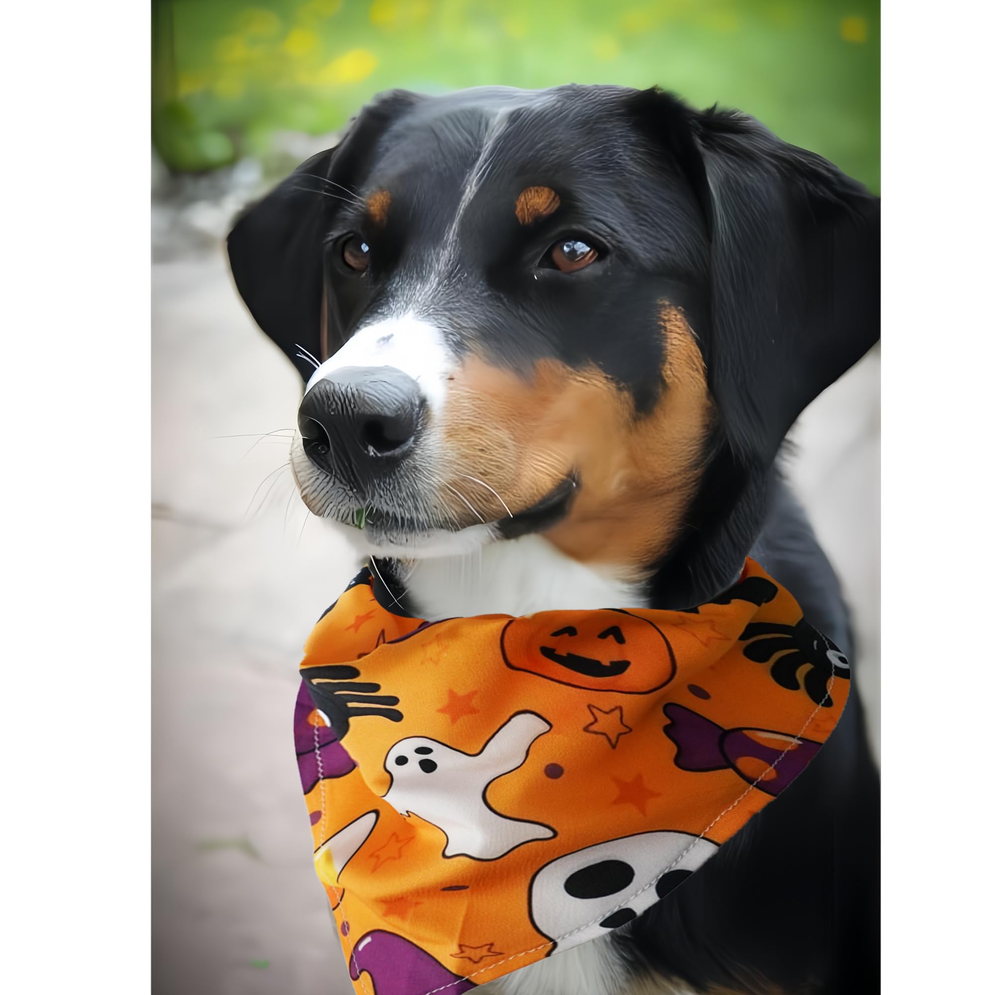 Cute Halloween Dog Bandanas 2 Pack, Pumpkin Cartoon Ghost Skeleton Spider Dog Scarf, Handkerchief Scarves Gifts For Puppy Large