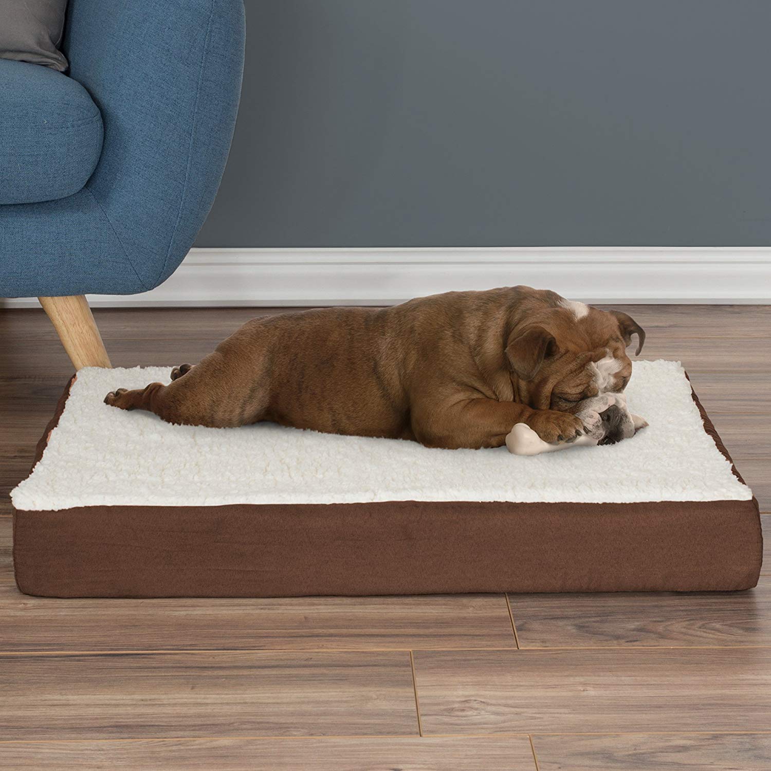 Orthopedic Dog Bed ? 2-Layer Memory Foam Dog Bed with Machine Washable Sherpa Cover ? 30x20.5 Dog Bed for Medium Dogs up to 45lb