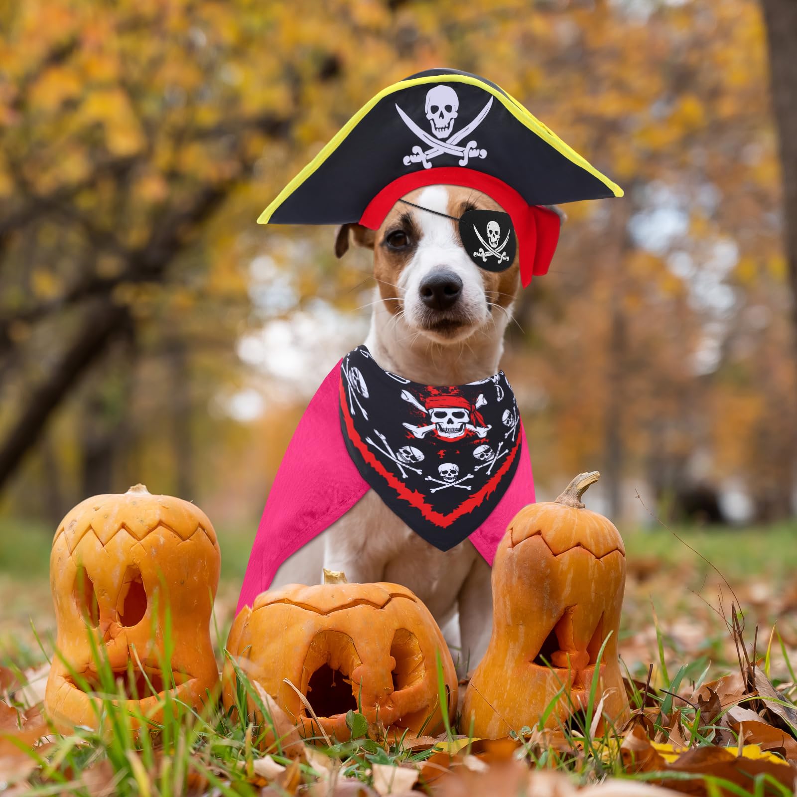 Huhumy 4 Pcs Dog Pirate Costume Set Dog Pirate Hat Pet Skull Triangle Bandana Puppy Cape and Eye Mask for Halloween Outfits Acce