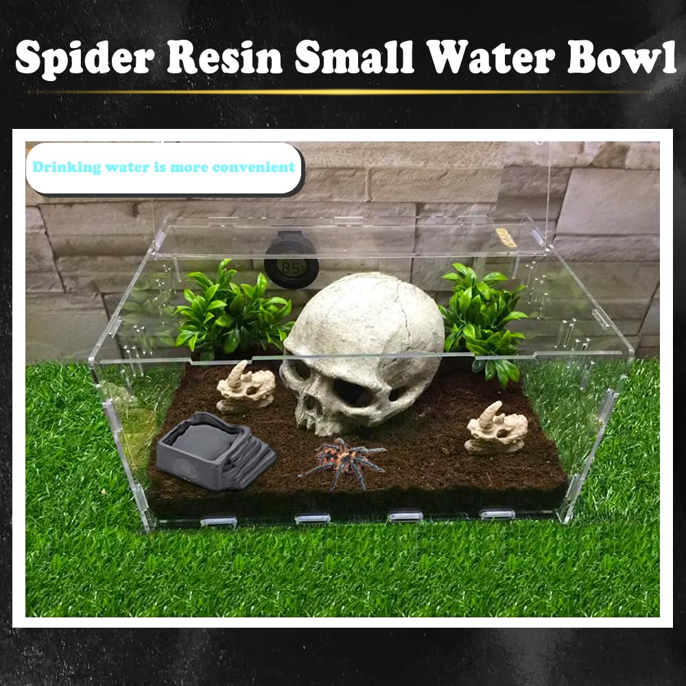 6 Pack Tarantula Water Bowl Hermit Crab Resin Dish For Reptile Tarantula Spider Millipede Insect (Large: 0.94 D, 0.47 H)