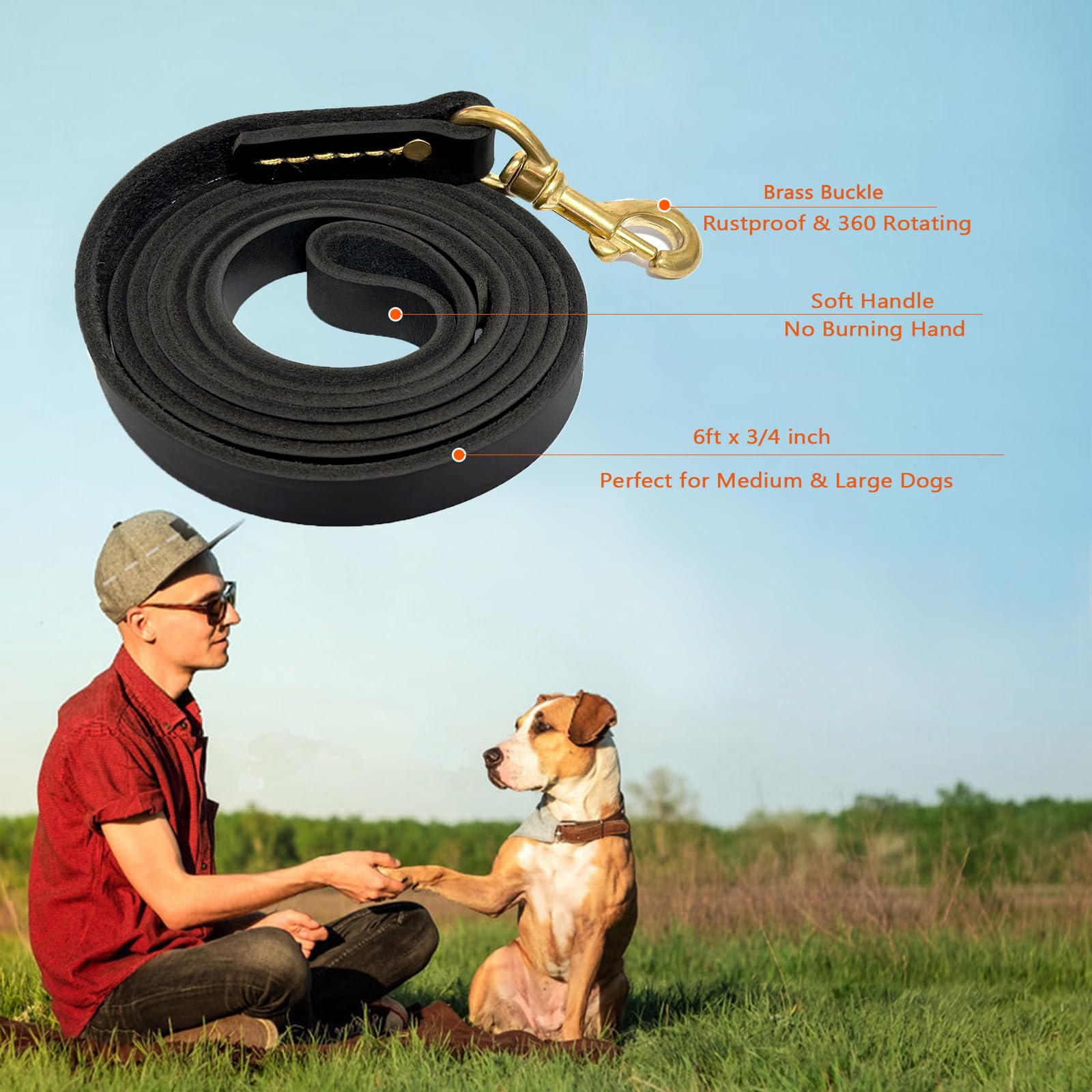 Guiding Star Leather Dog Leash 6Ft, Dog Leashes For Large Dogs Heavy Duty, Soft Handmade Leather Training Leash For Large & Medi